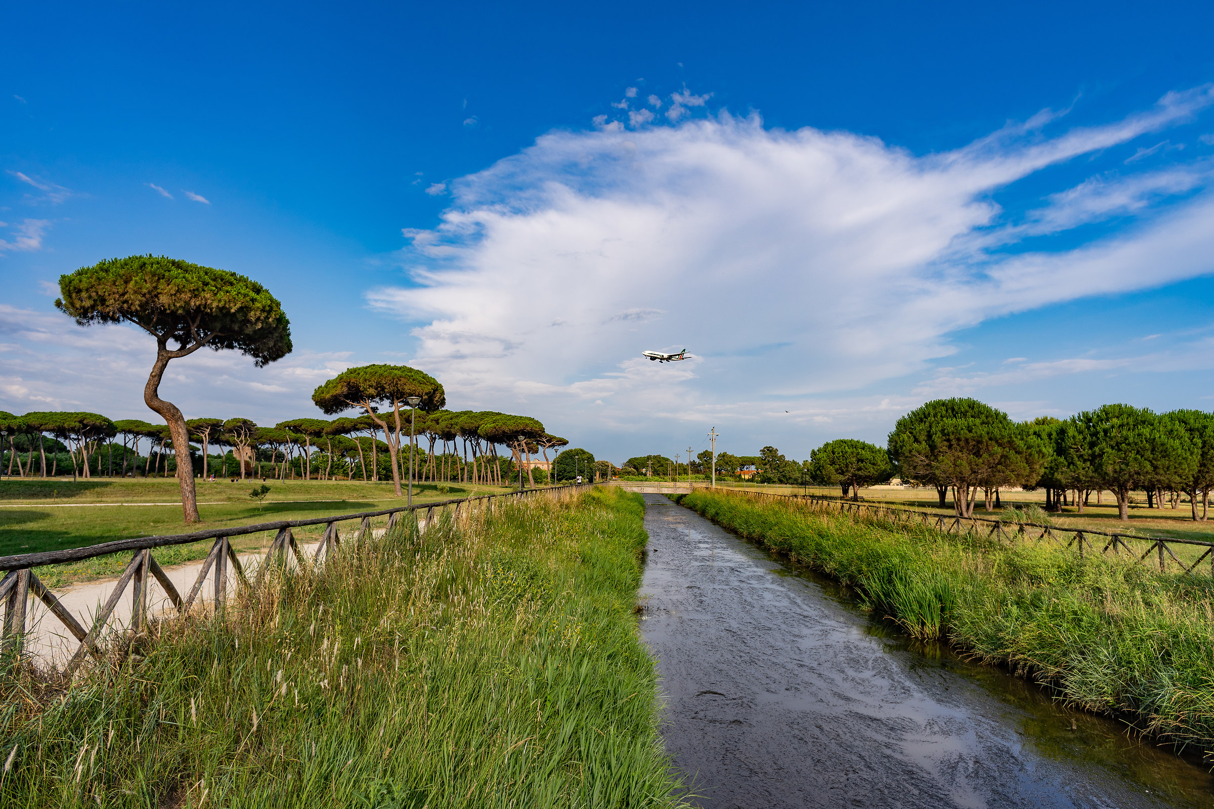 con 24 nikkor f2.8 AI