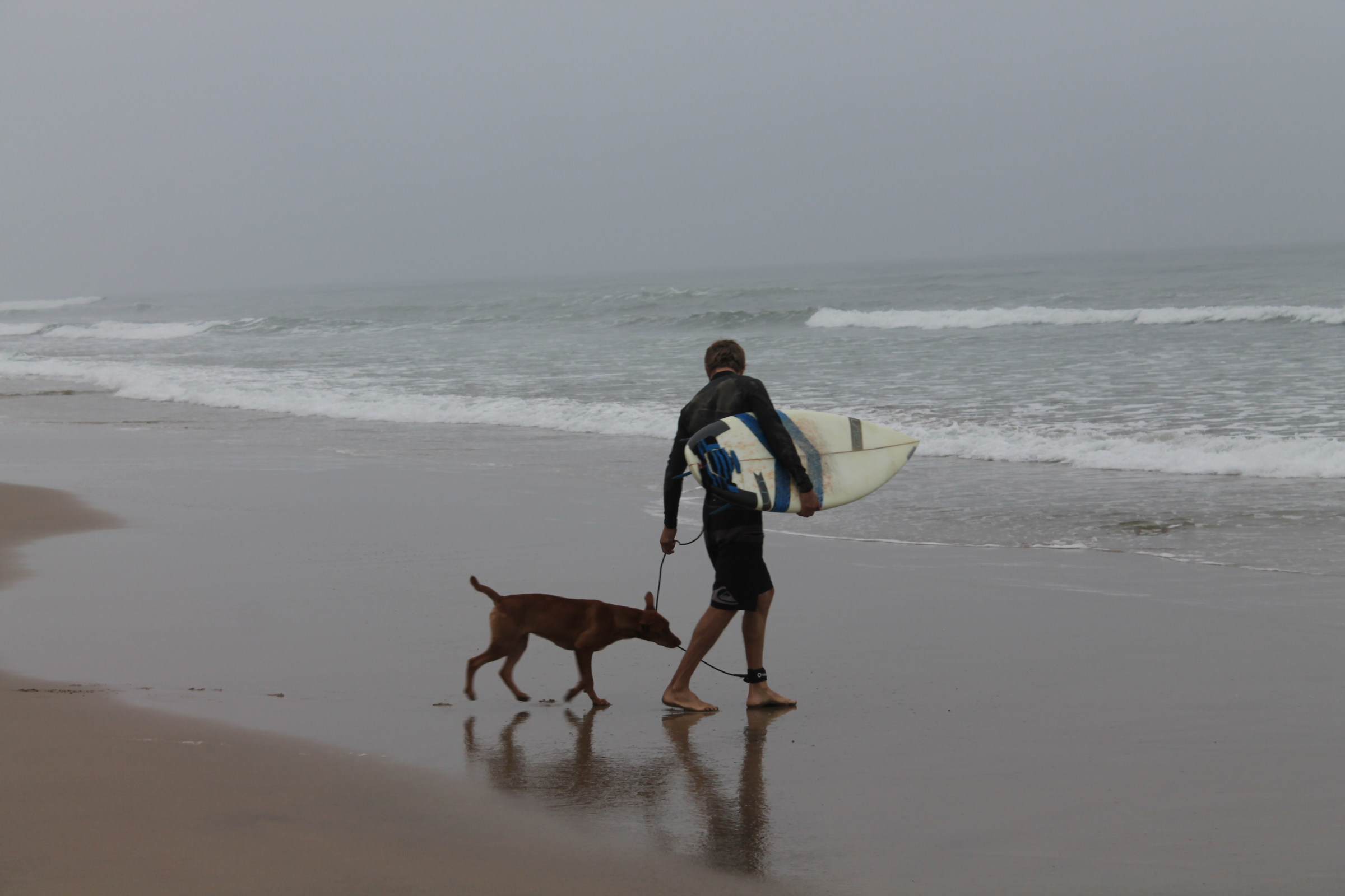 Por favor no me dejes