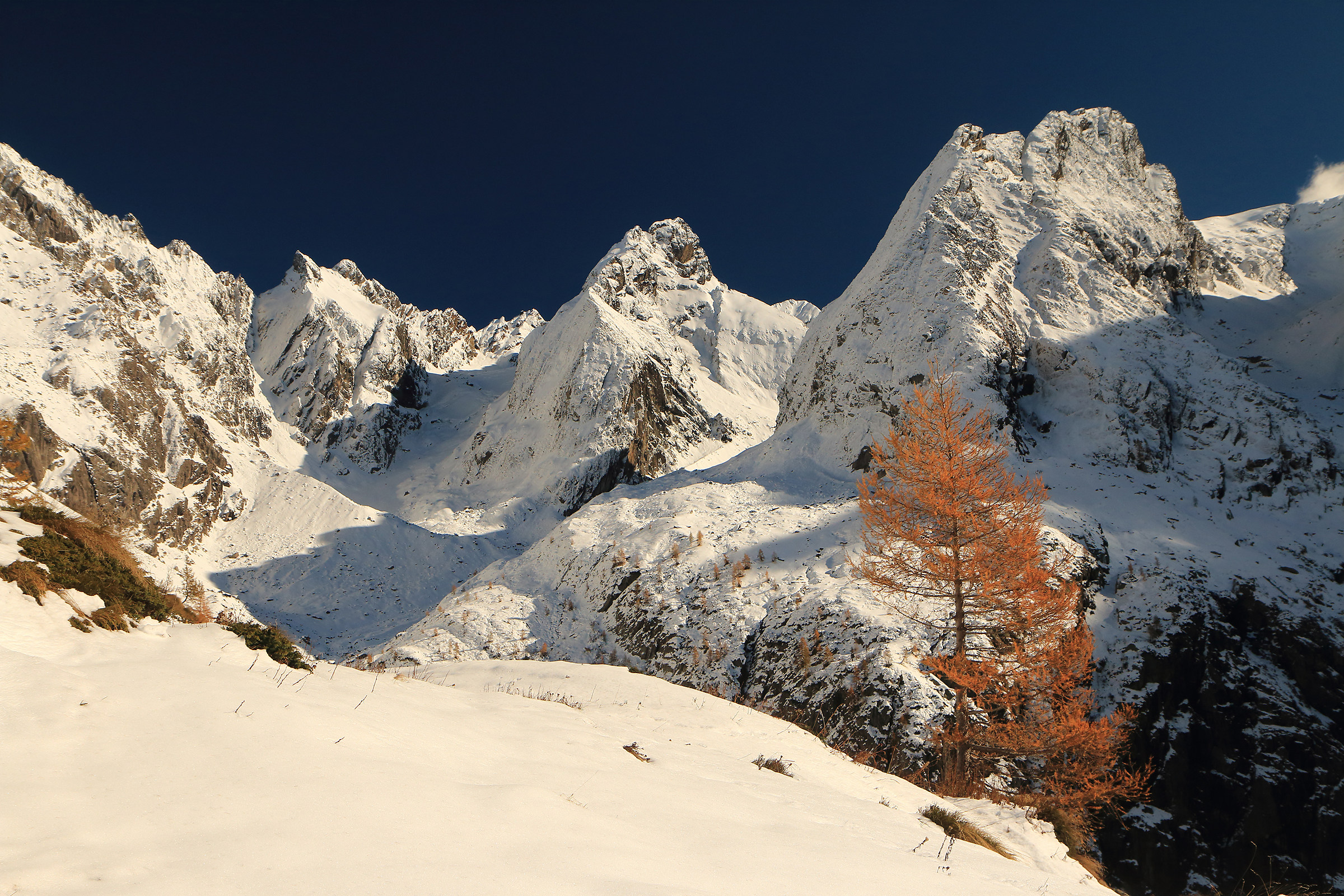 un "vivido" ricordo autunnale