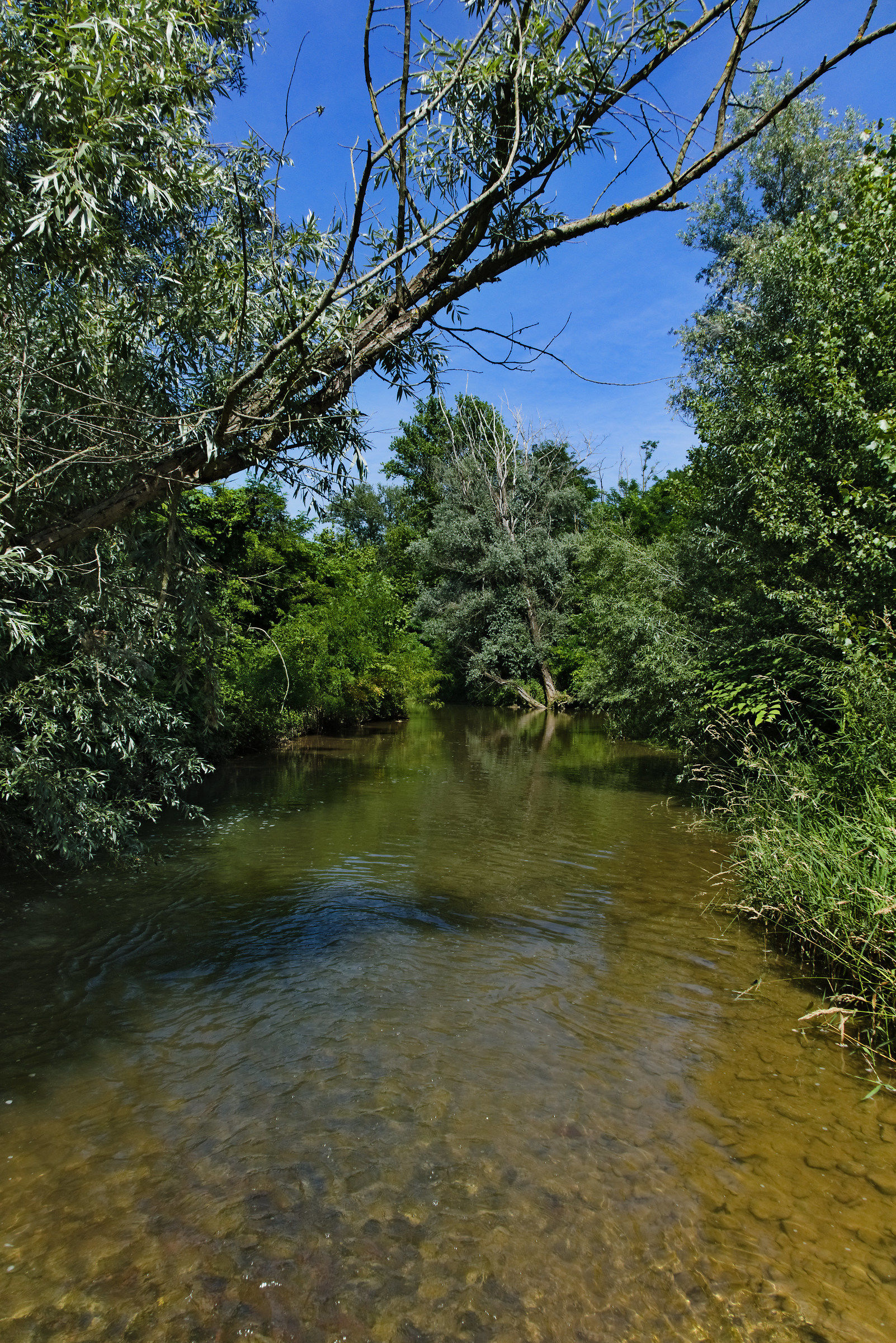 Plain Two Creek
