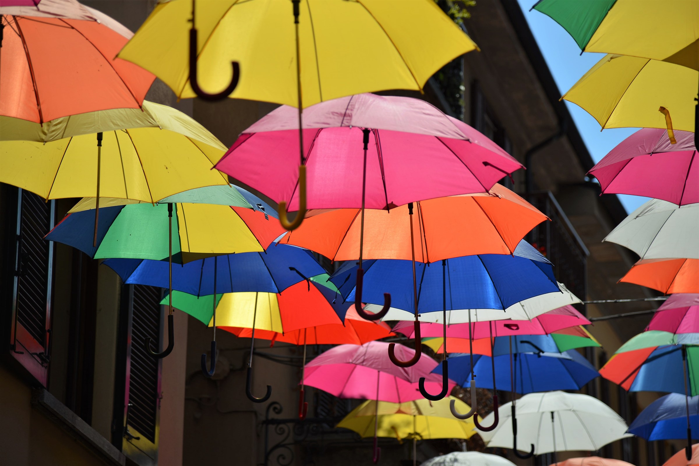 Lens hood or parasol?