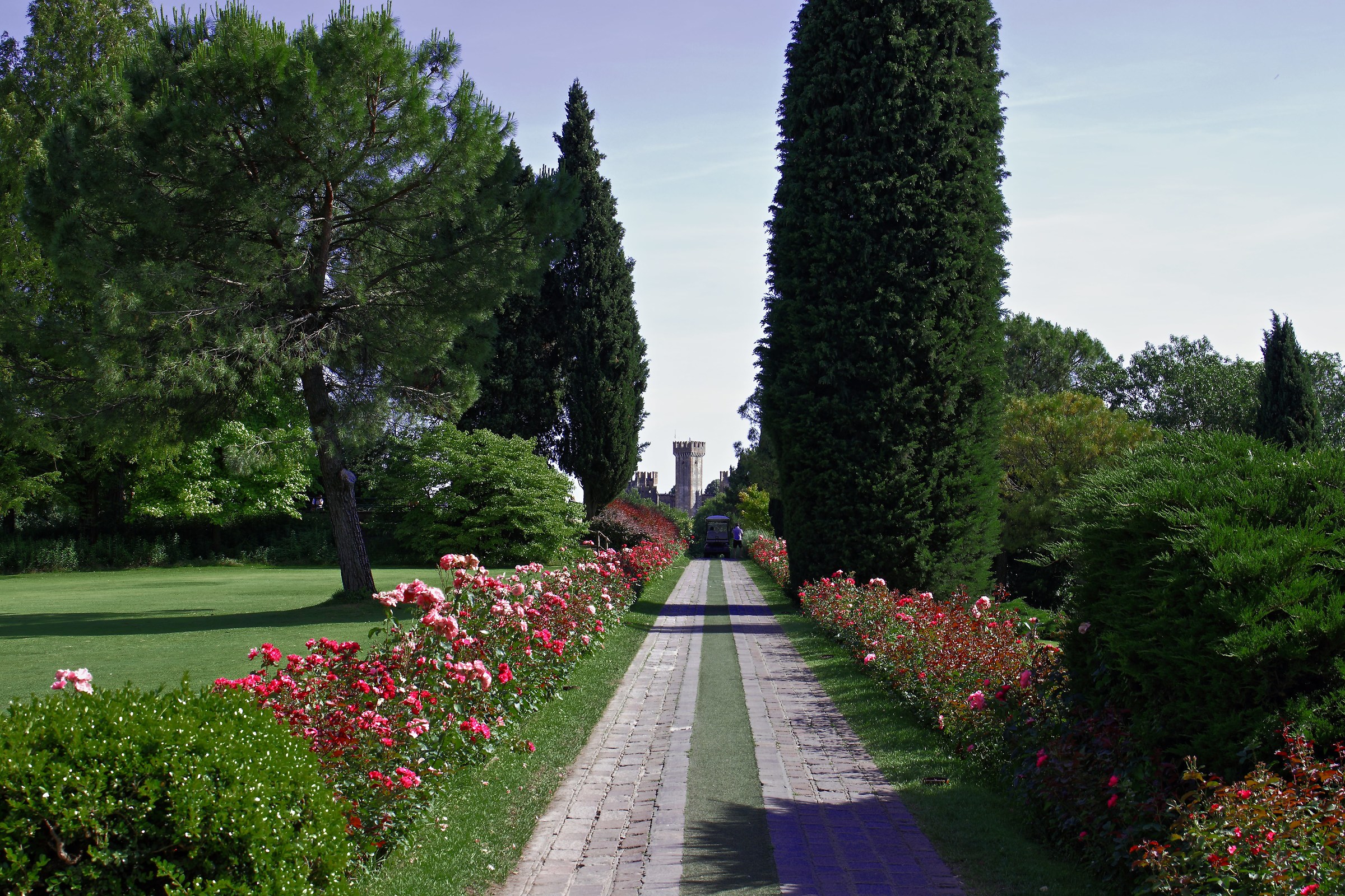 Avenue of Roses in Sigurtà Park