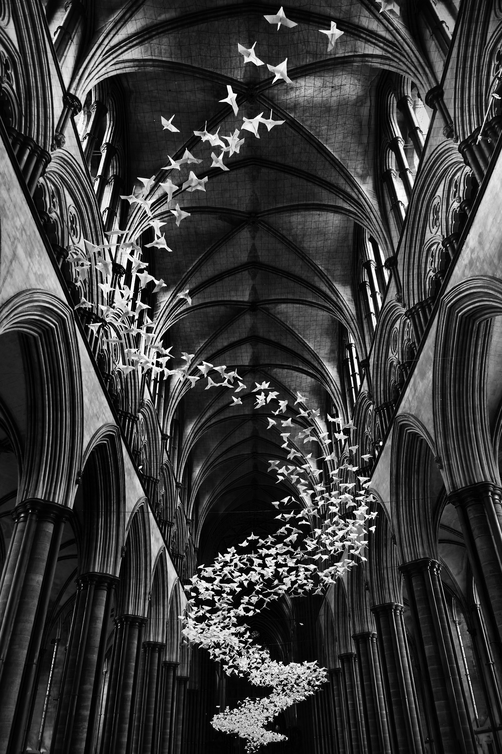 ' Les Colombes '-volo di 2.500 colombe origami