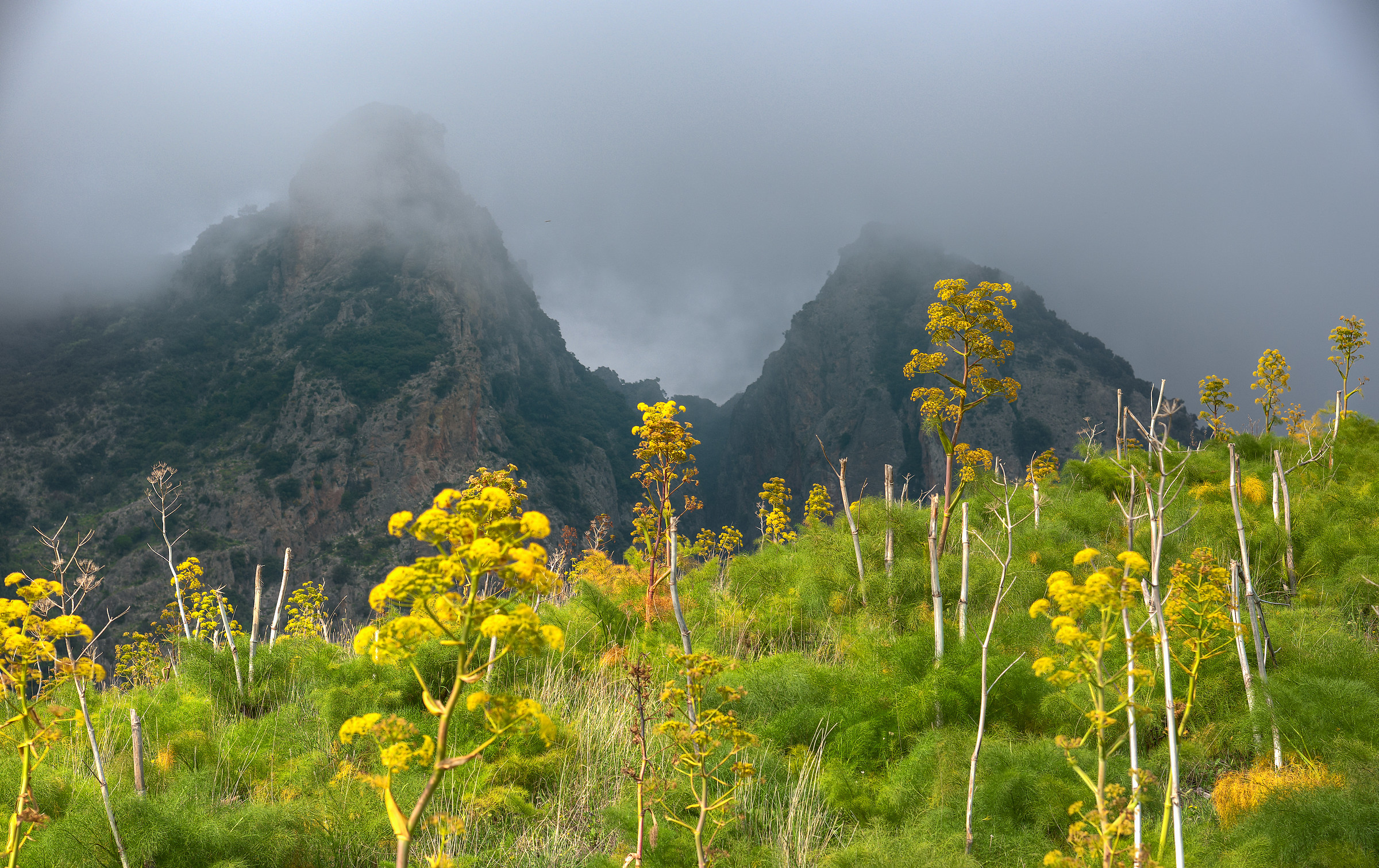 Mount three lace Aspromonte National Park