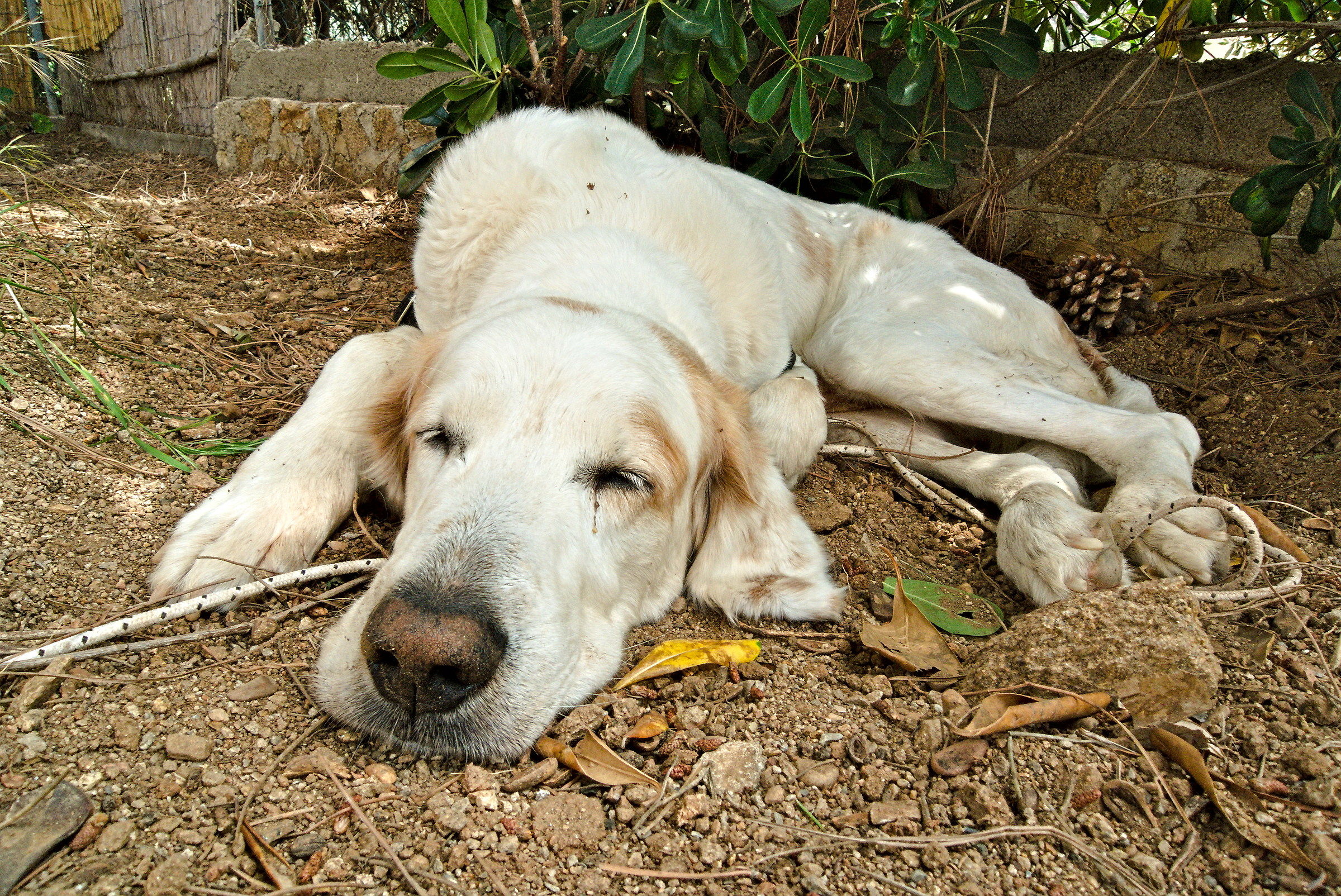 E capperi... è vacanza anche per me!
