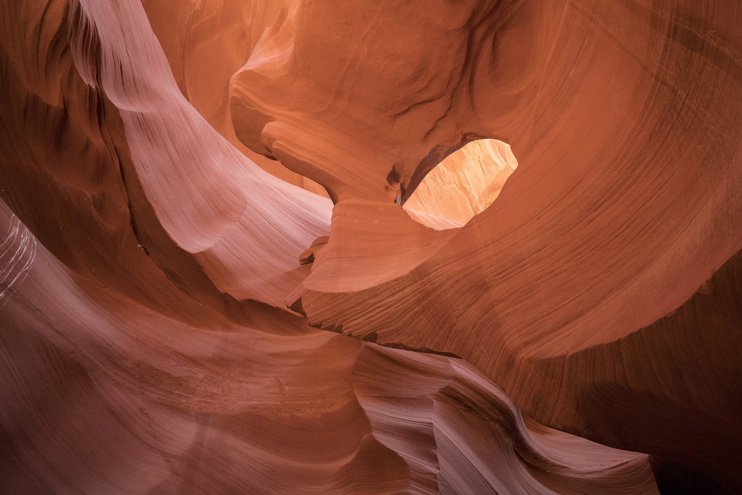 Lower Antelope Architecture