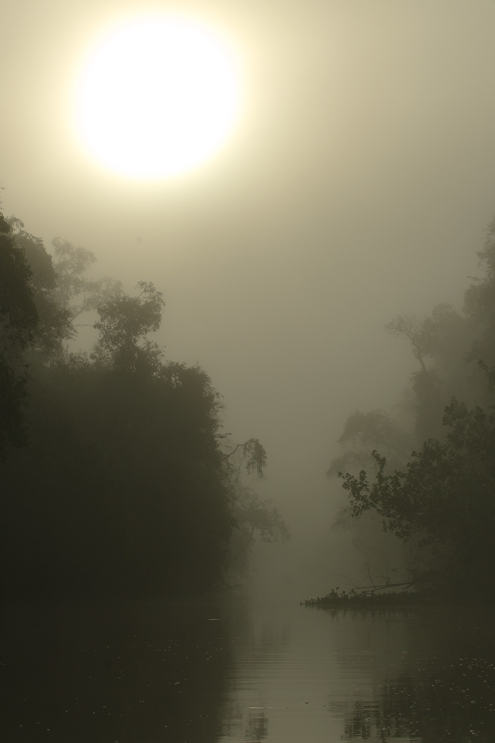 Sunrise on the River Kinabatangan