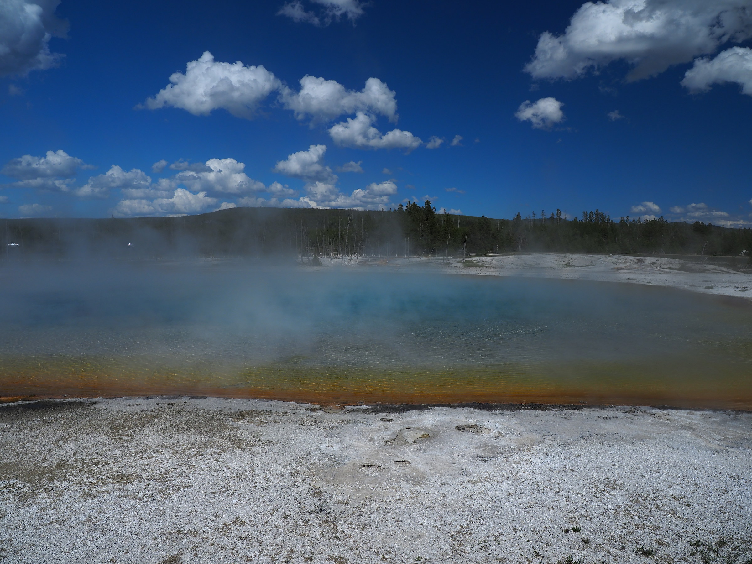 Yellowstone: Pool