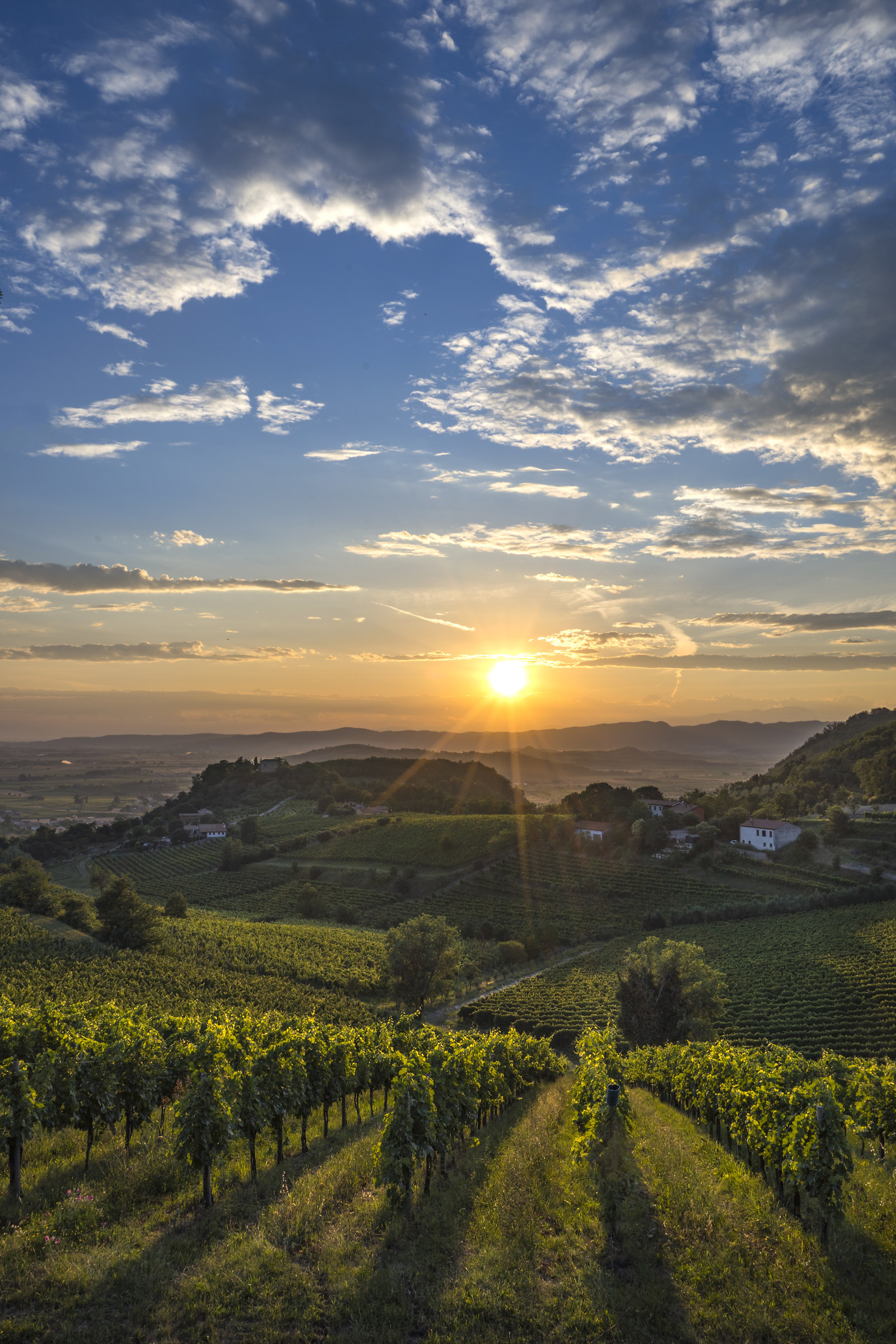 Sunset at the wind pitch