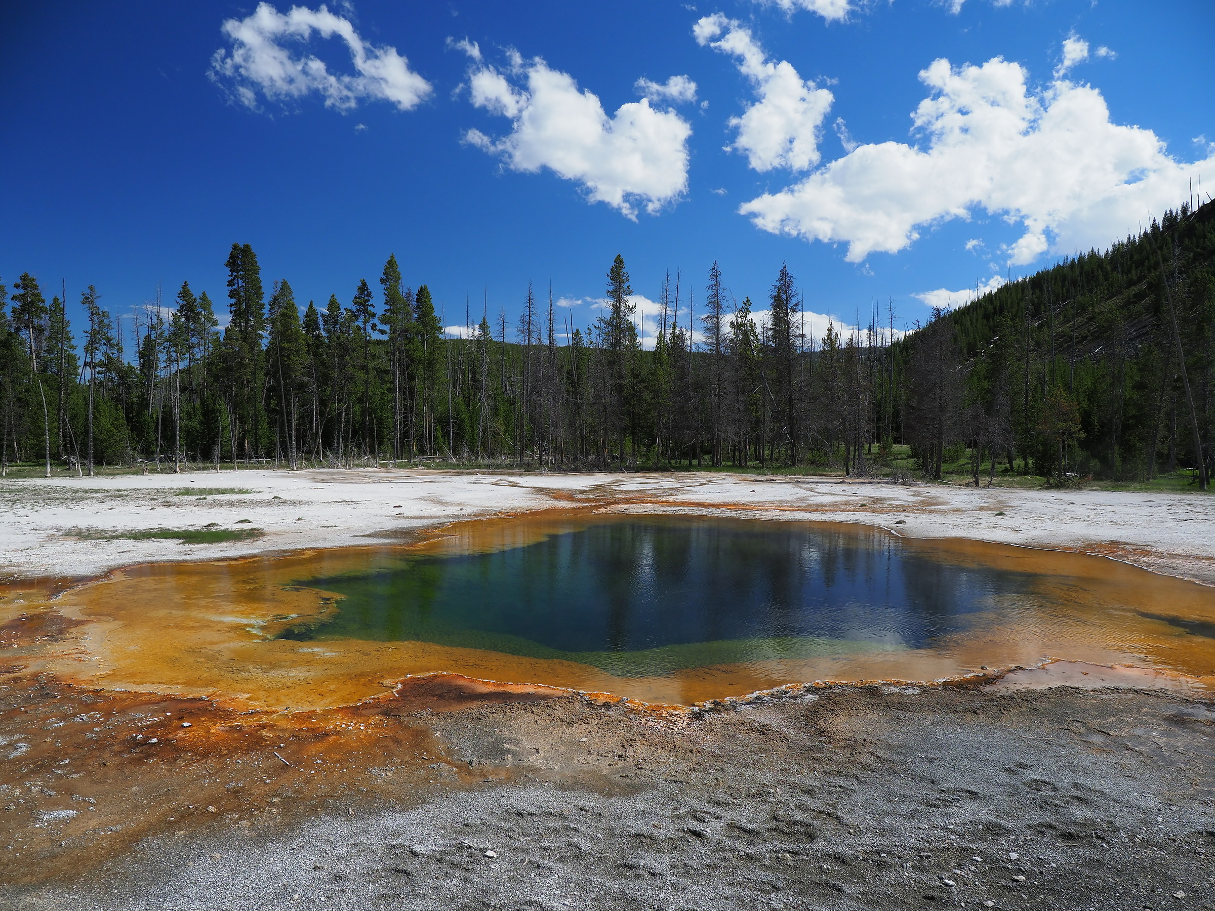 Yellowstone: Emerald Pool