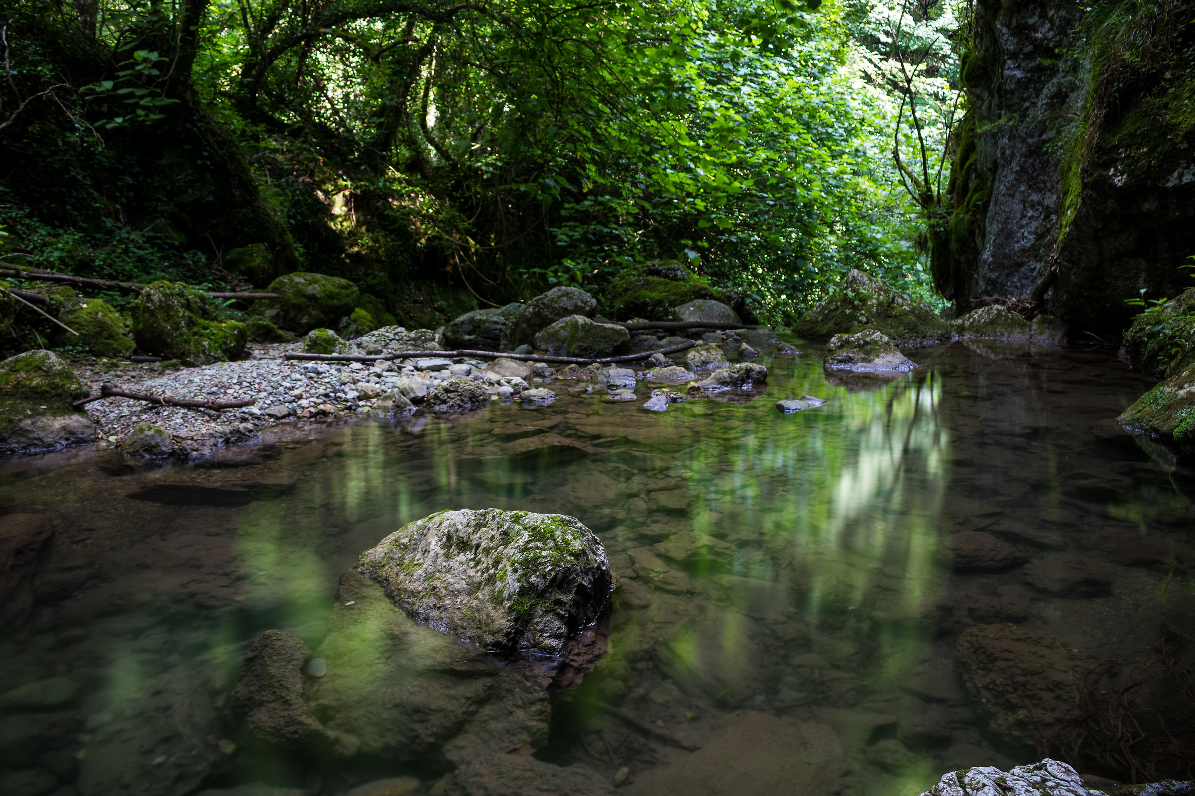 These reflections...