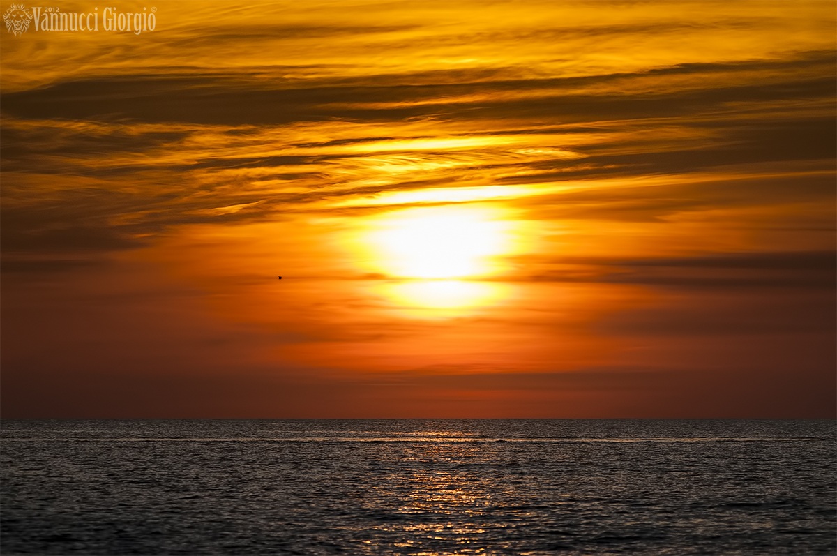 Volando verso il Sole