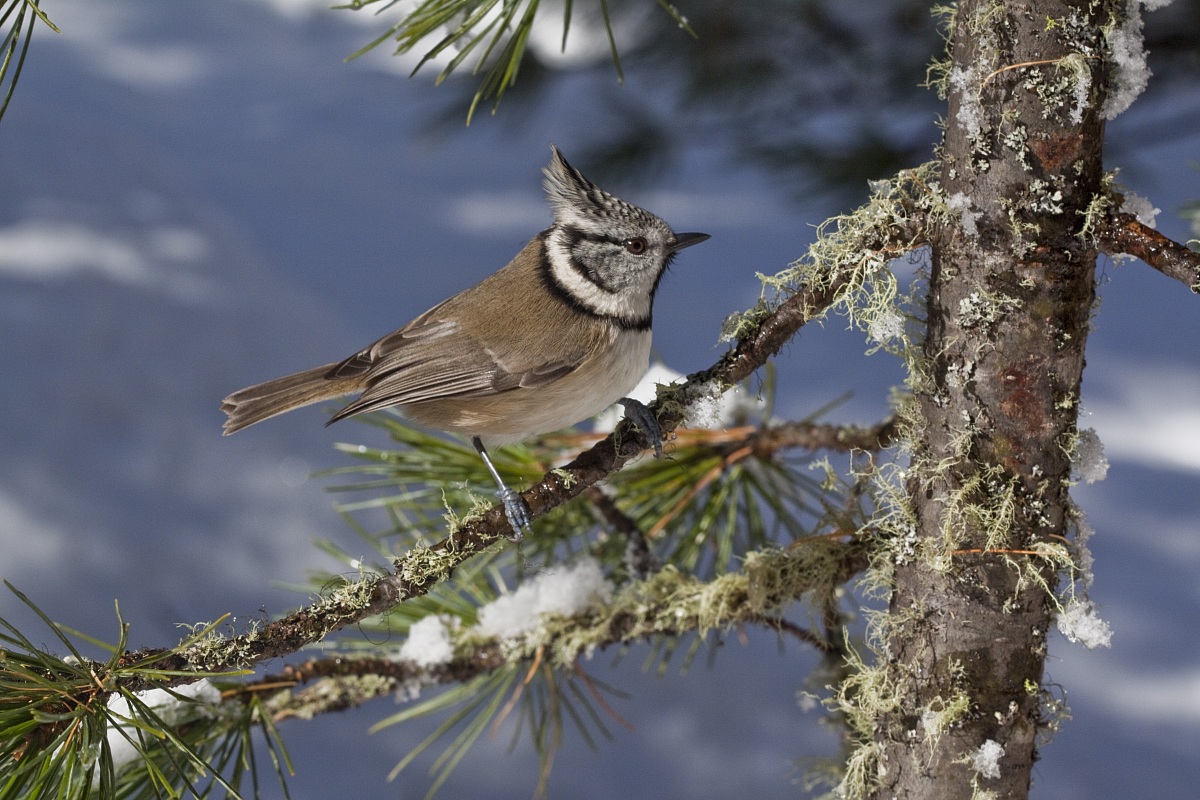 Val Roseg, novembre 2012