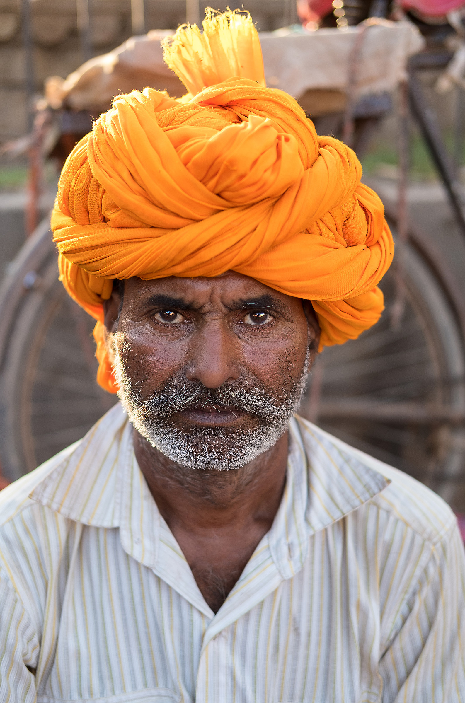 Incontri al mercato di Bundi, India.