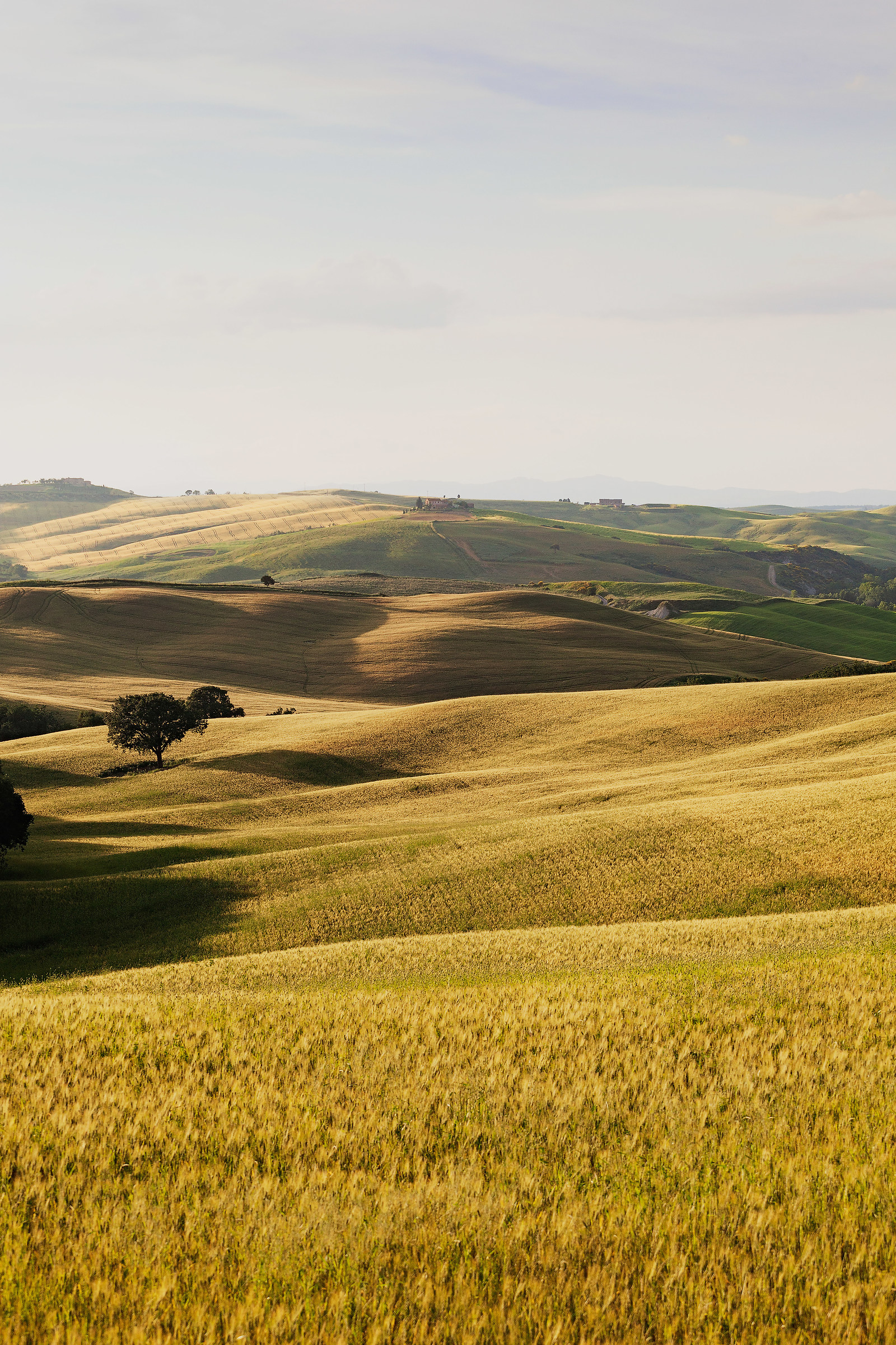 Colline delle Crete Senesi