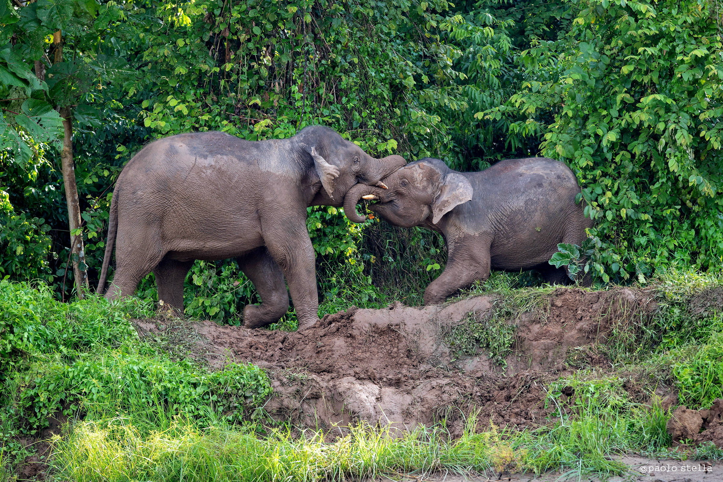 giochi sulla sponda del fiume