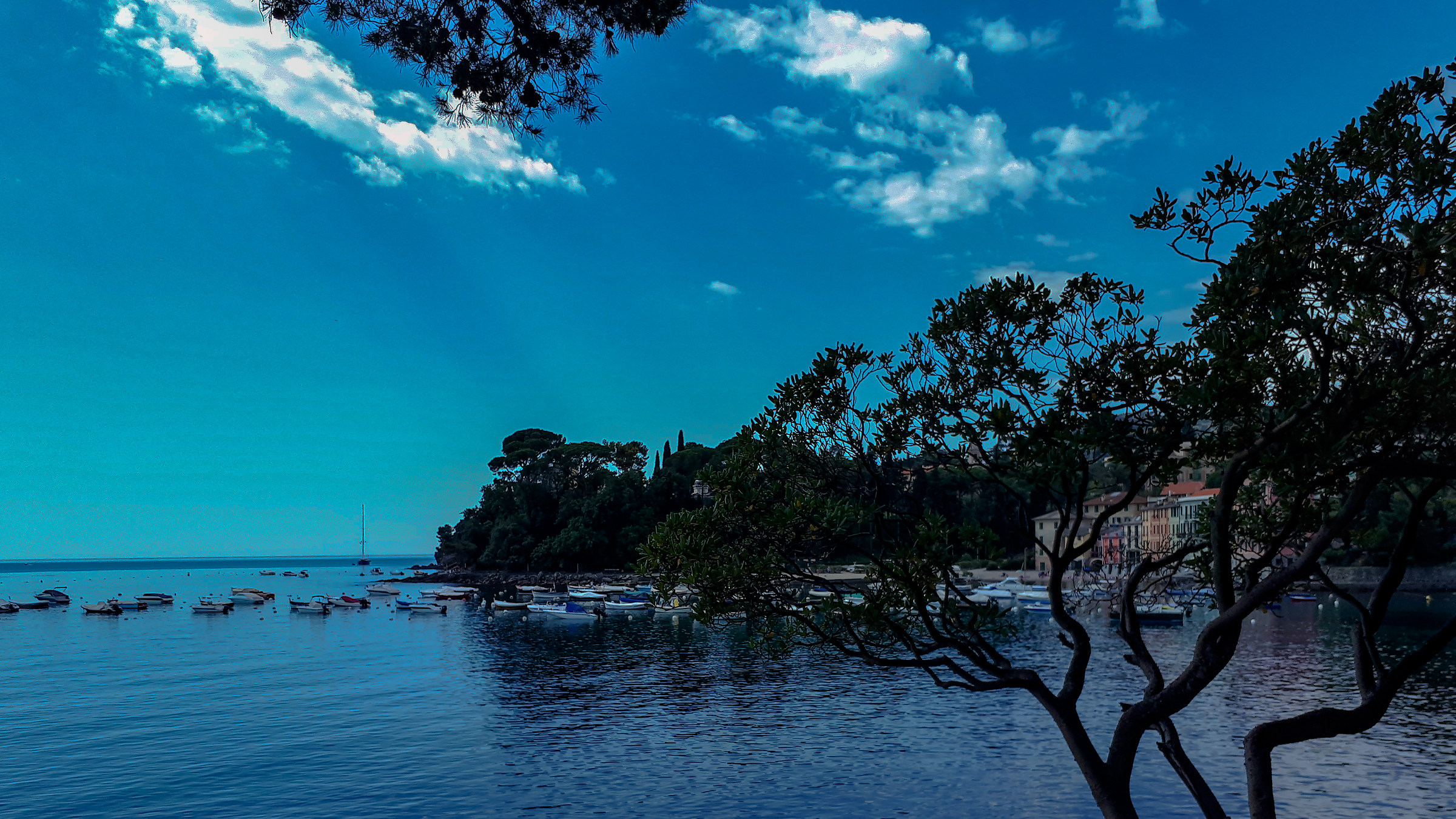 nel blu dipinto di blu