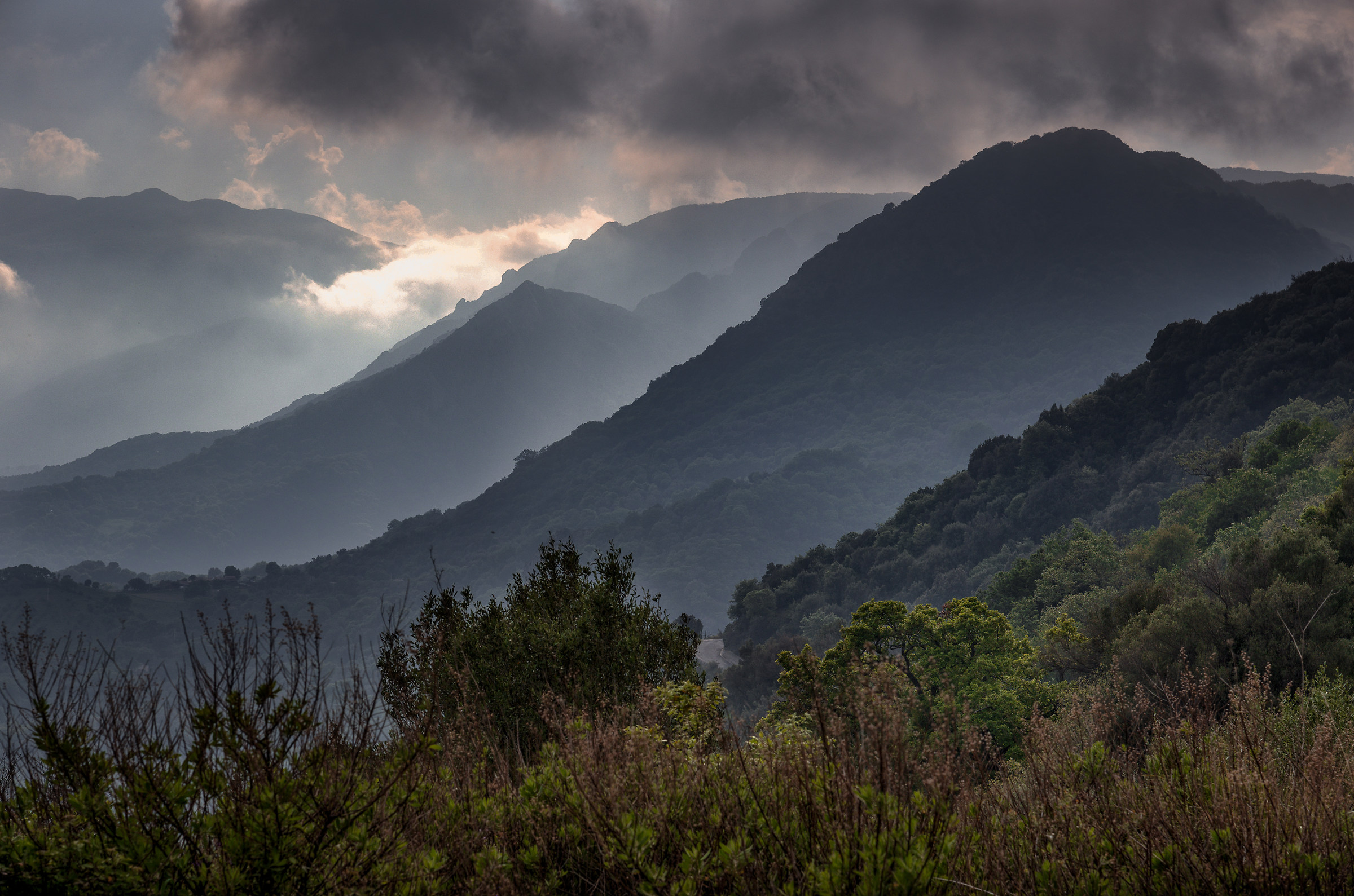 parco nazionale d'aspromonte  calabria
