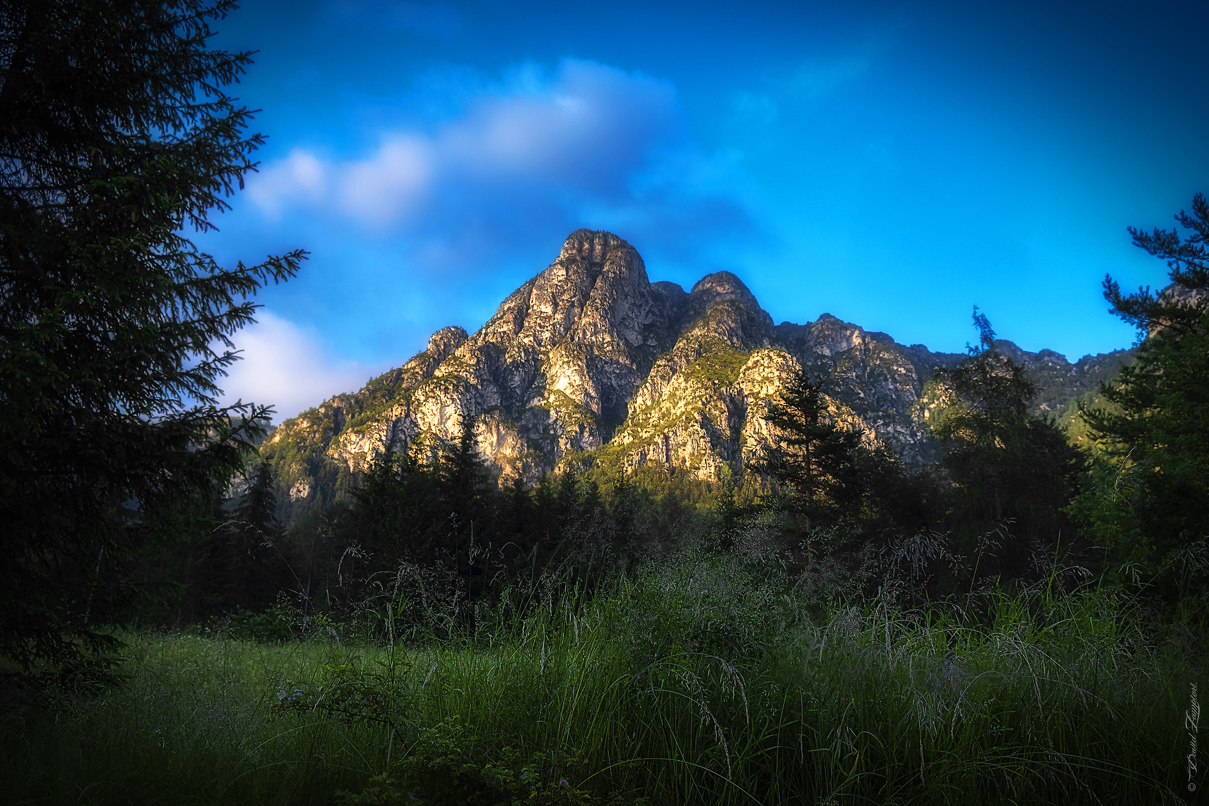 Monte Cornon - Tesero