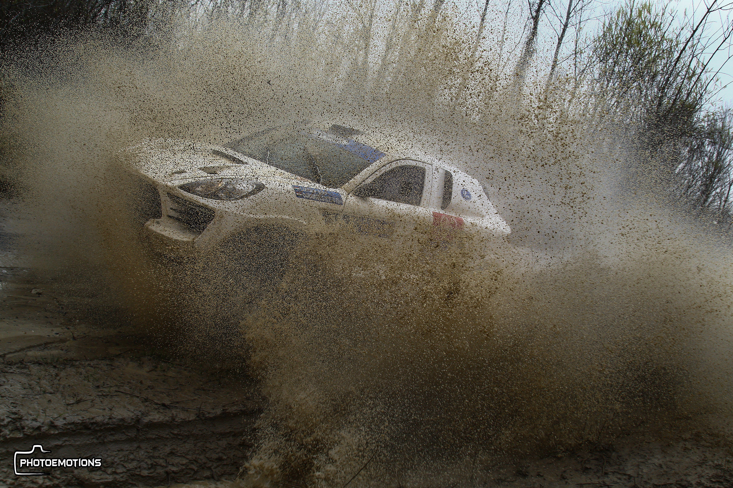 Porsche in the Dust