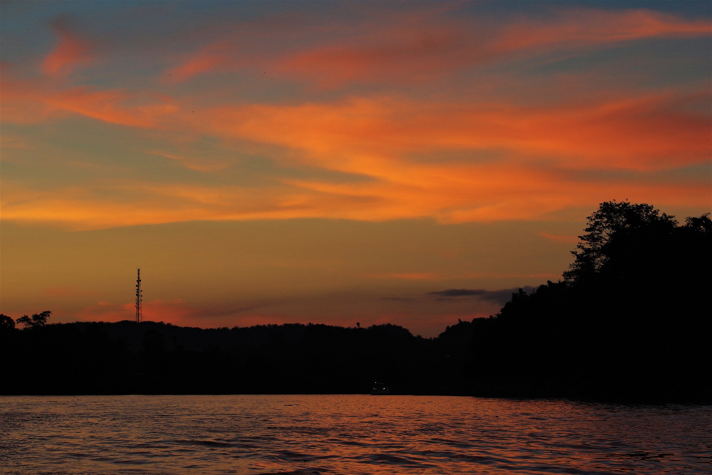Kinabatangan River at dusk