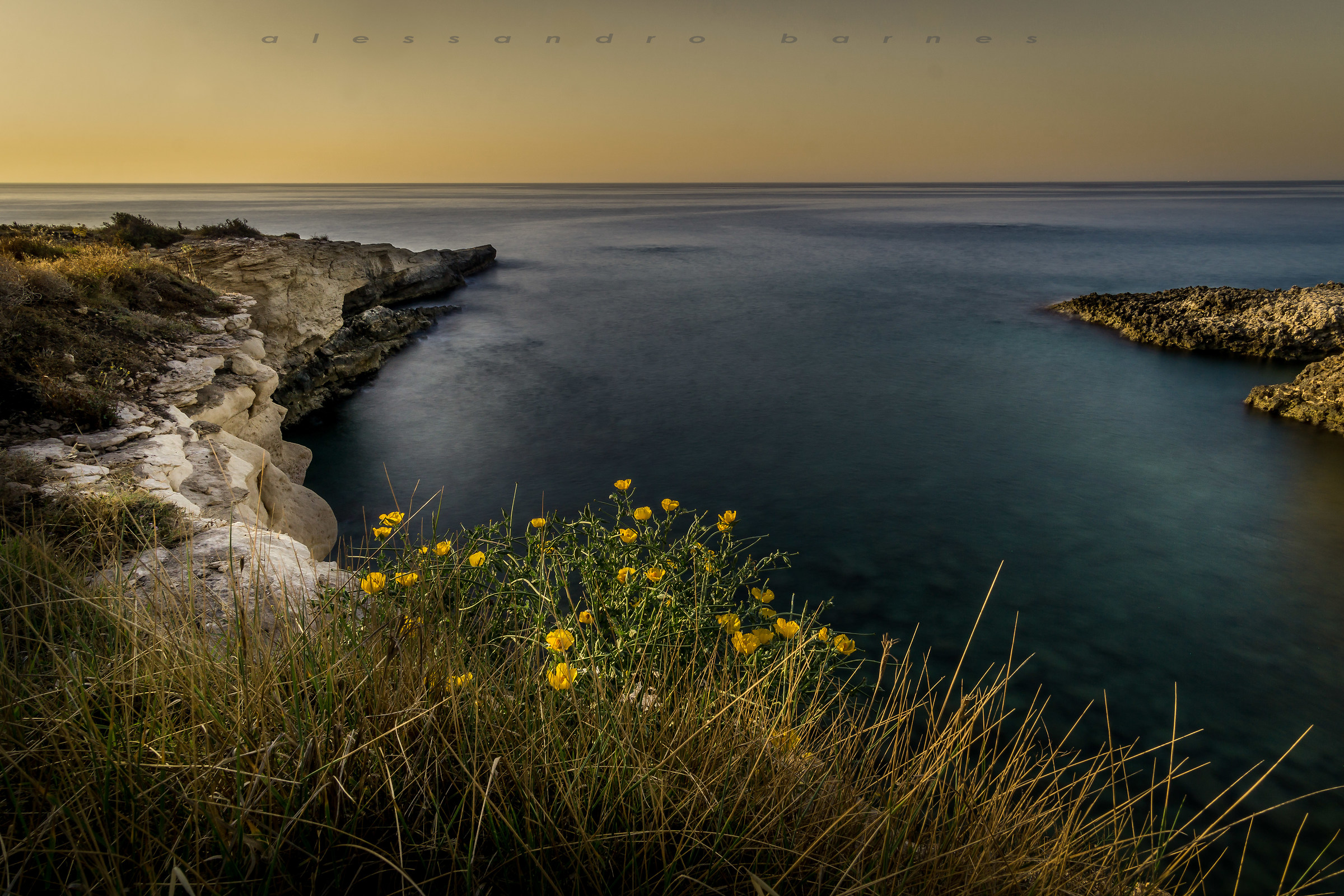 Gelsomineto -Fontane Bianche- Sicilia