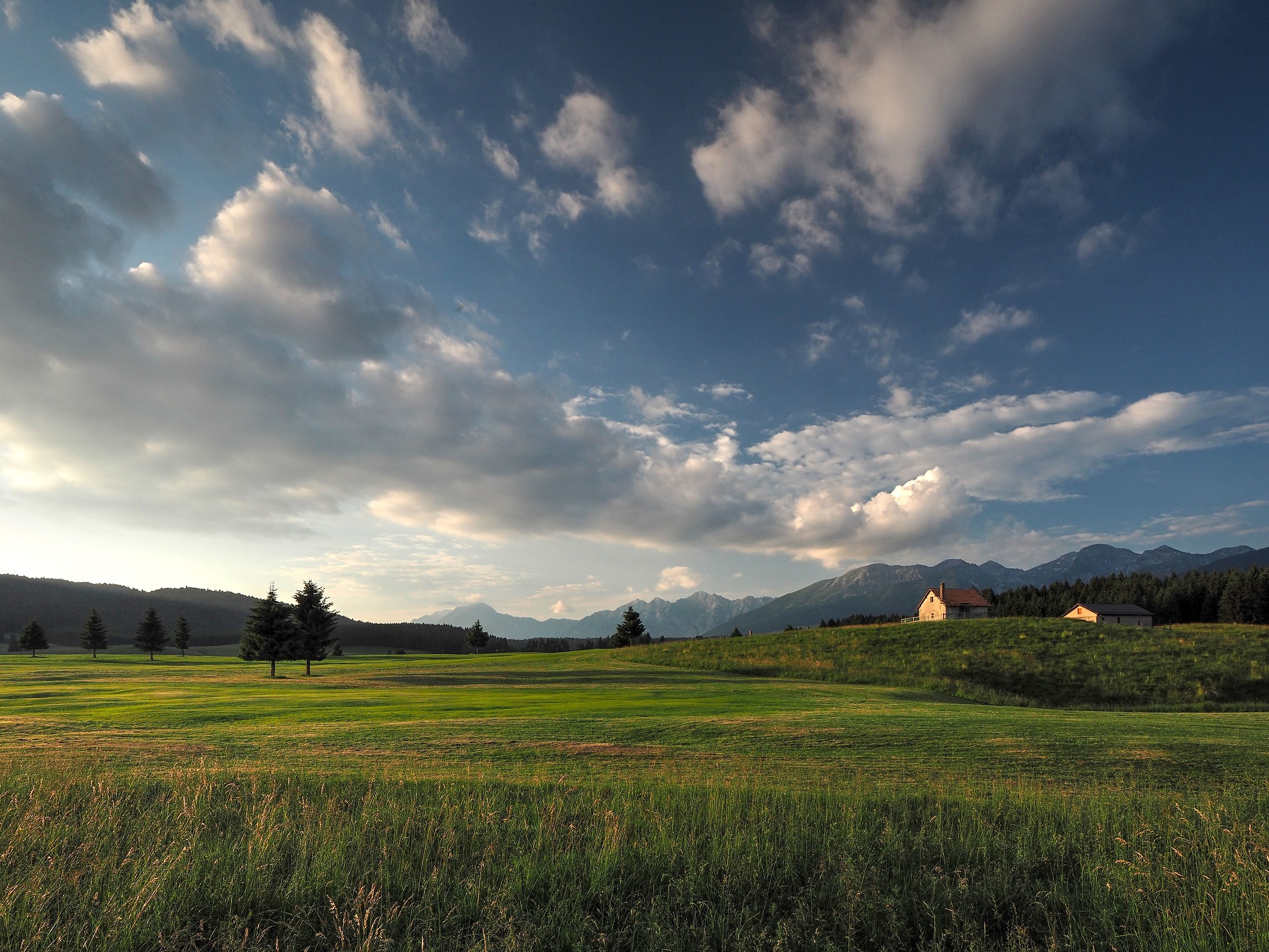 cartolina dal Cansiglio