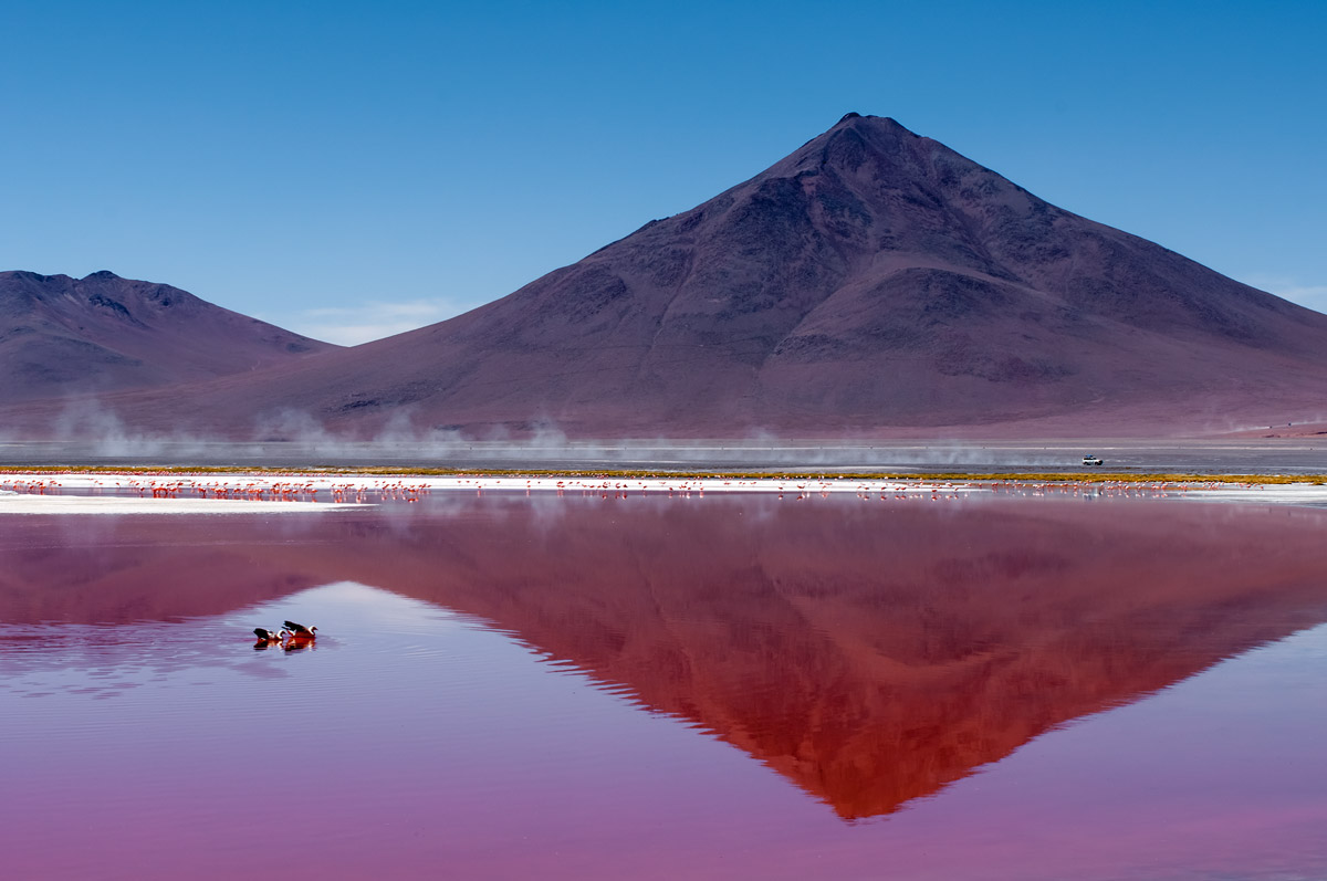 Laguna colorada 3