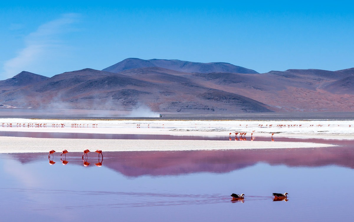 Laguna Colorada 4