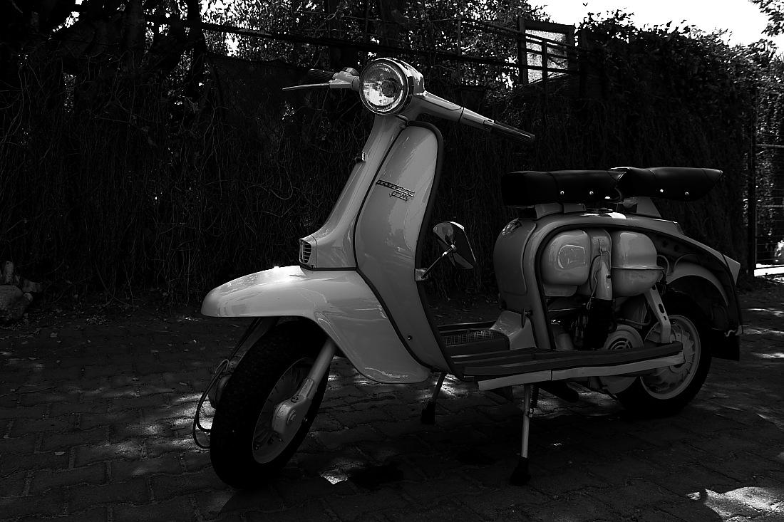 Lambretta in whole