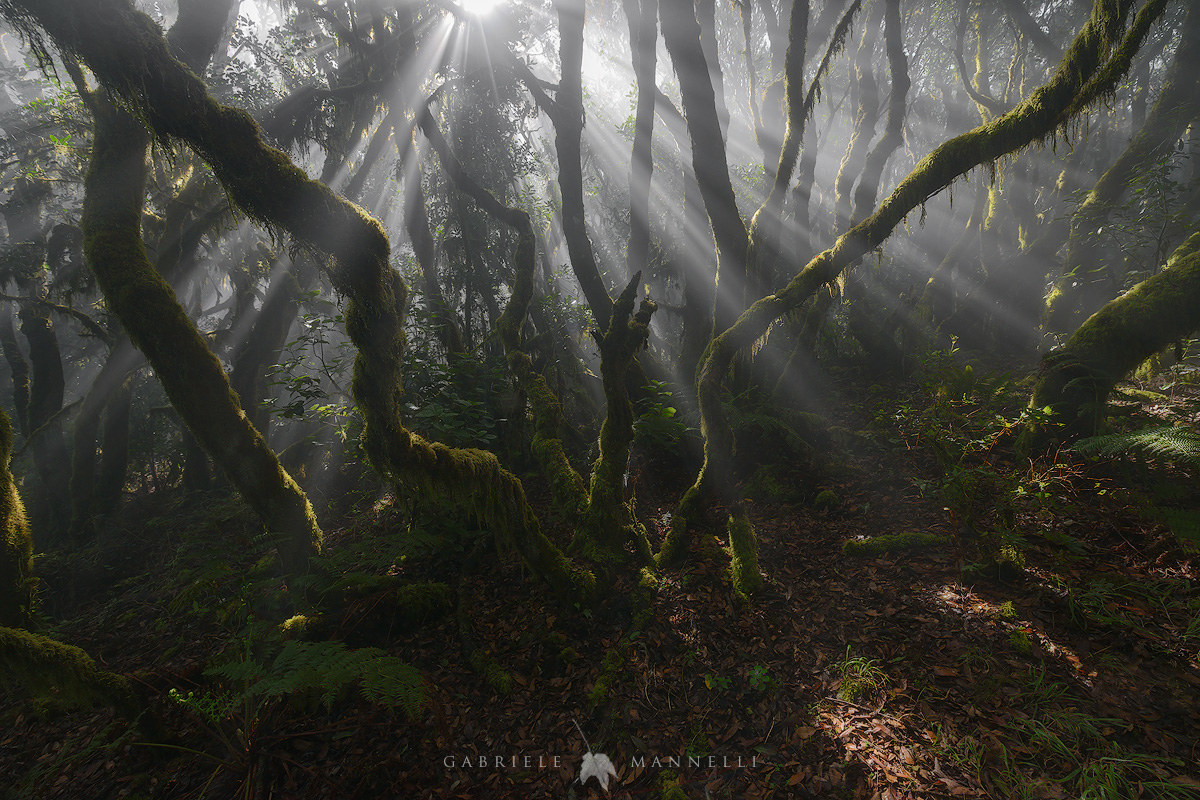 La danza degli spettri
