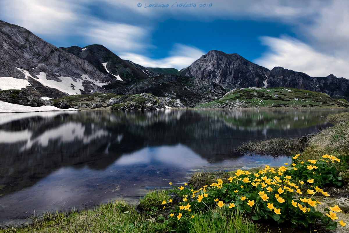 Slowly, the Summer...