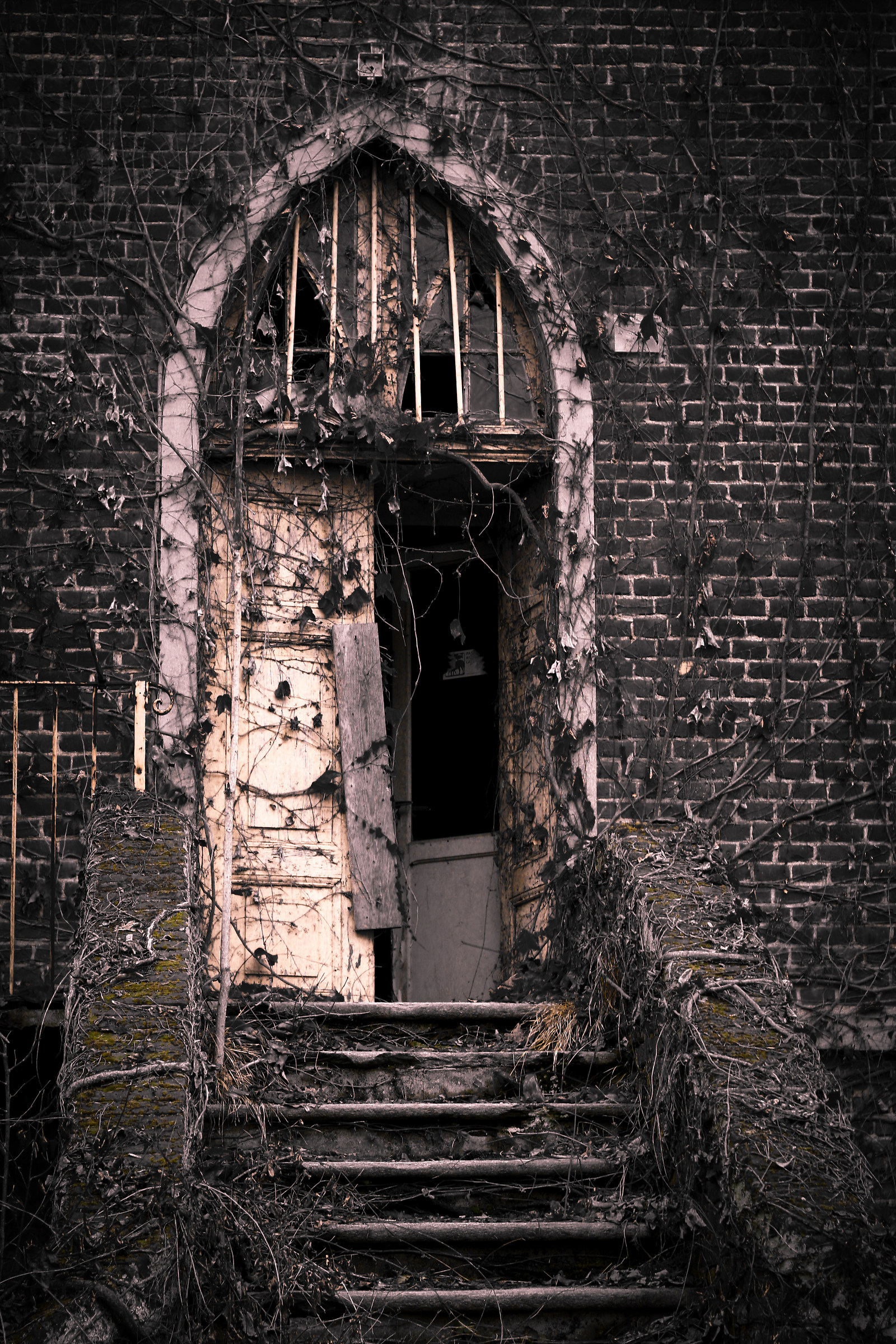 ... The grass of the neighbor....