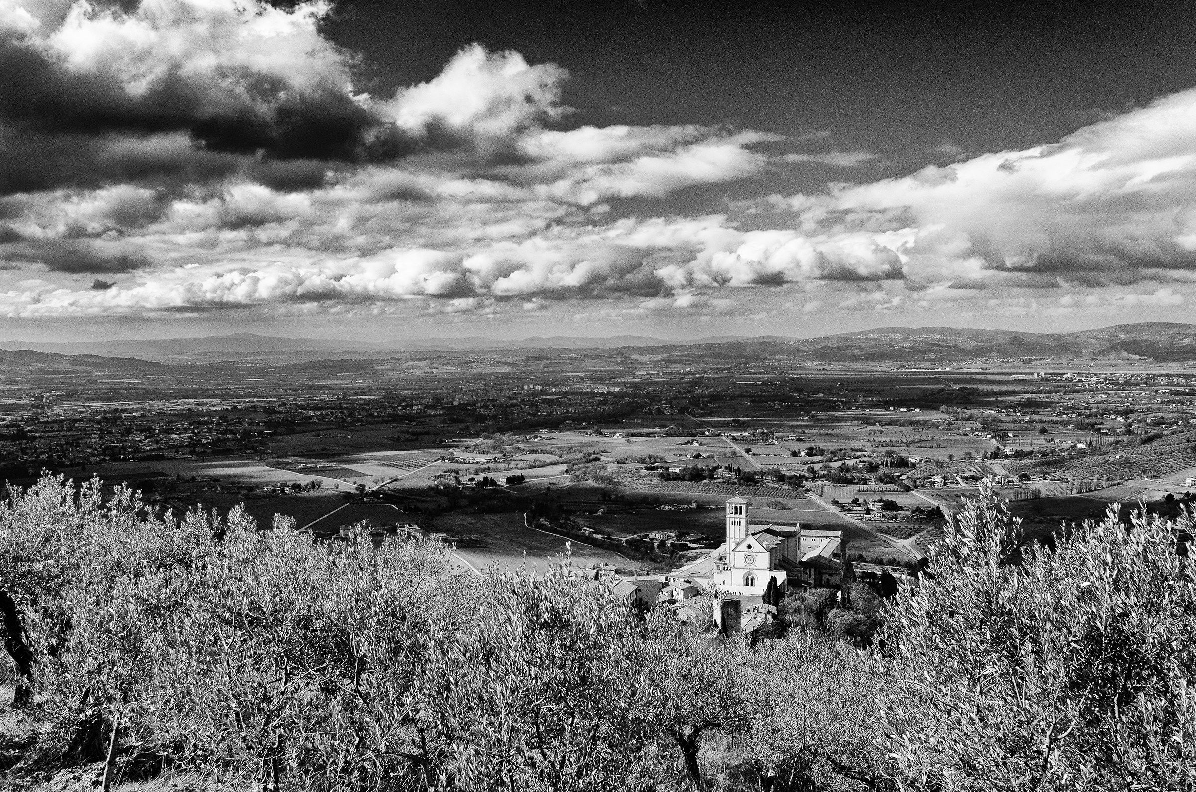 Dietro gli ulivi, sotto le nubi