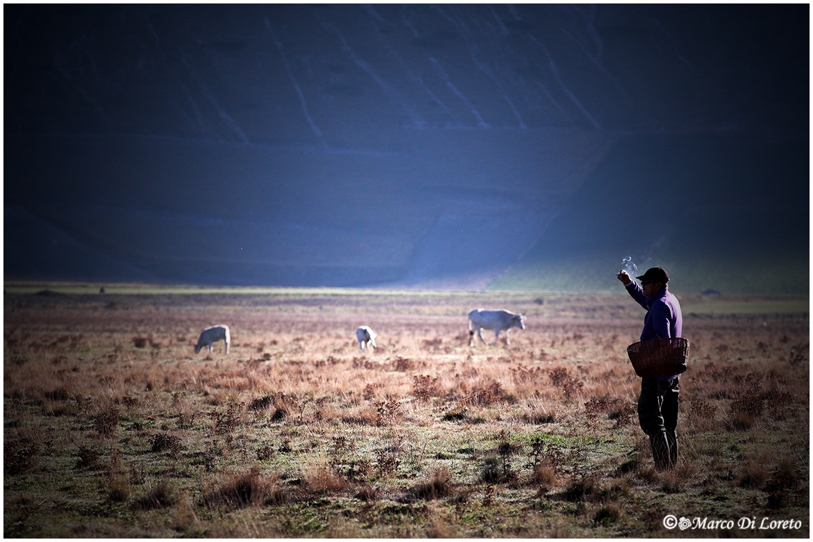 Il cercatore di Funghi