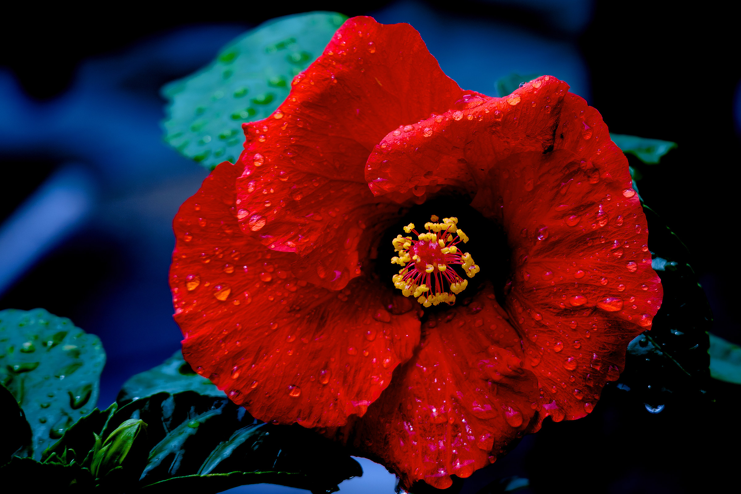 After the thunderstorm