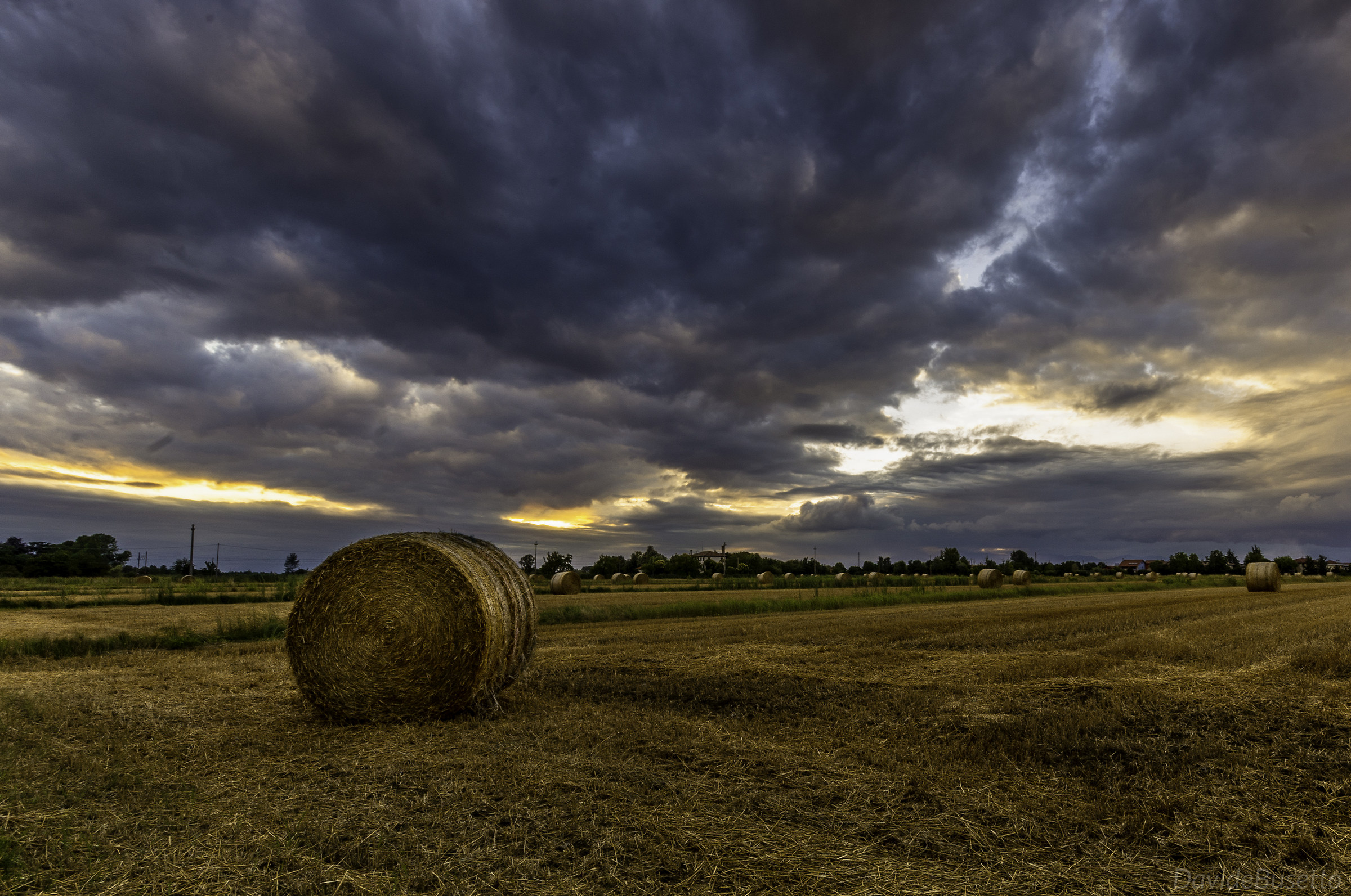 Campagna preganziolese