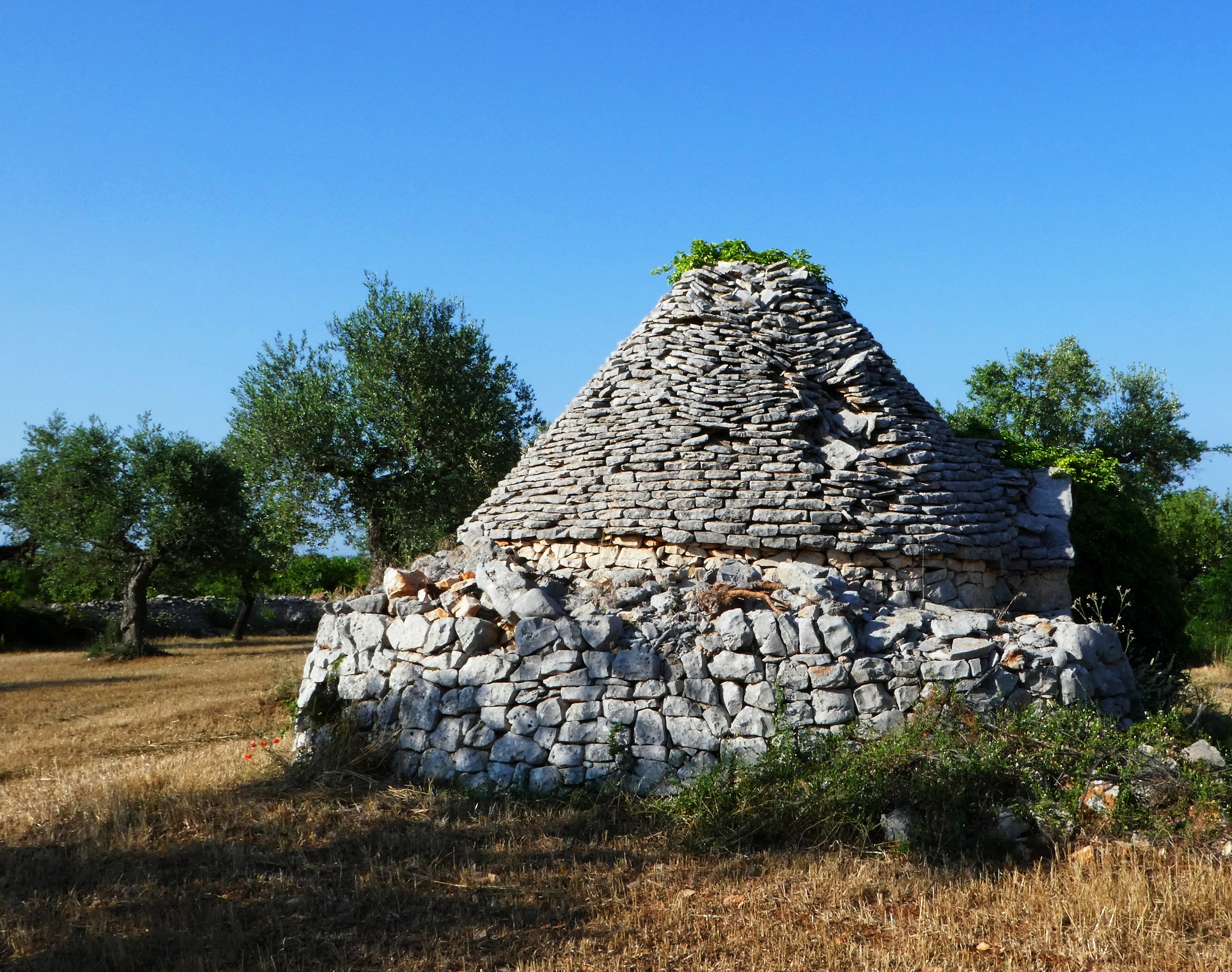 Stones of Puglia. Sheltering tools in ruins