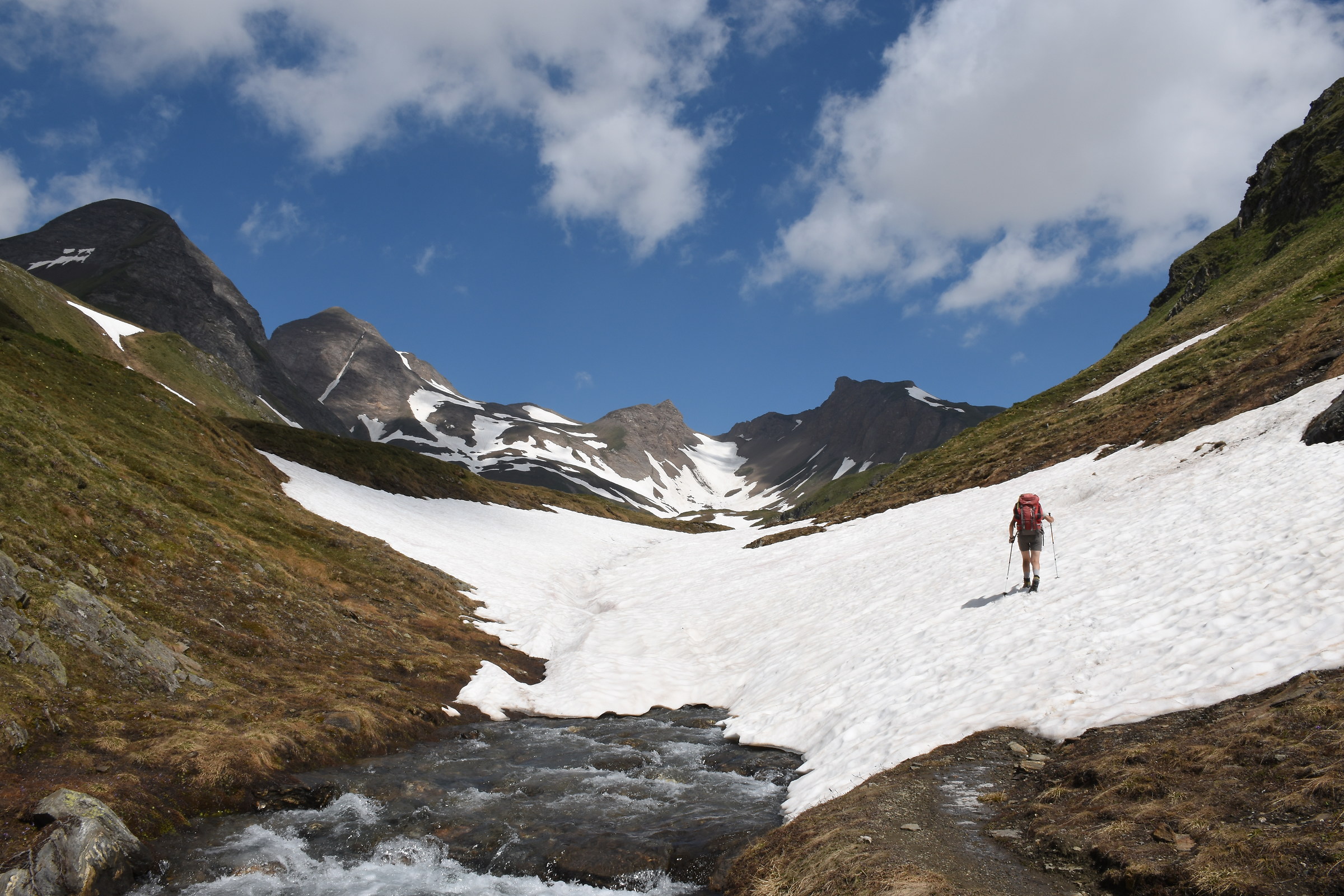 The beauty of the Alps in June