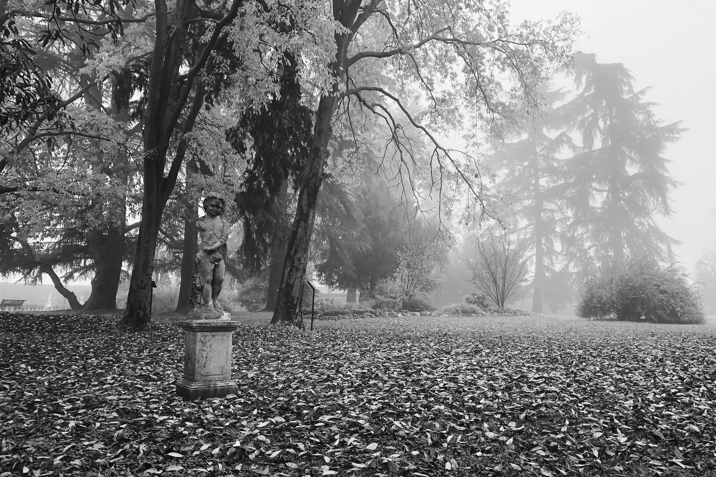 Country (TV)-Park in solitude