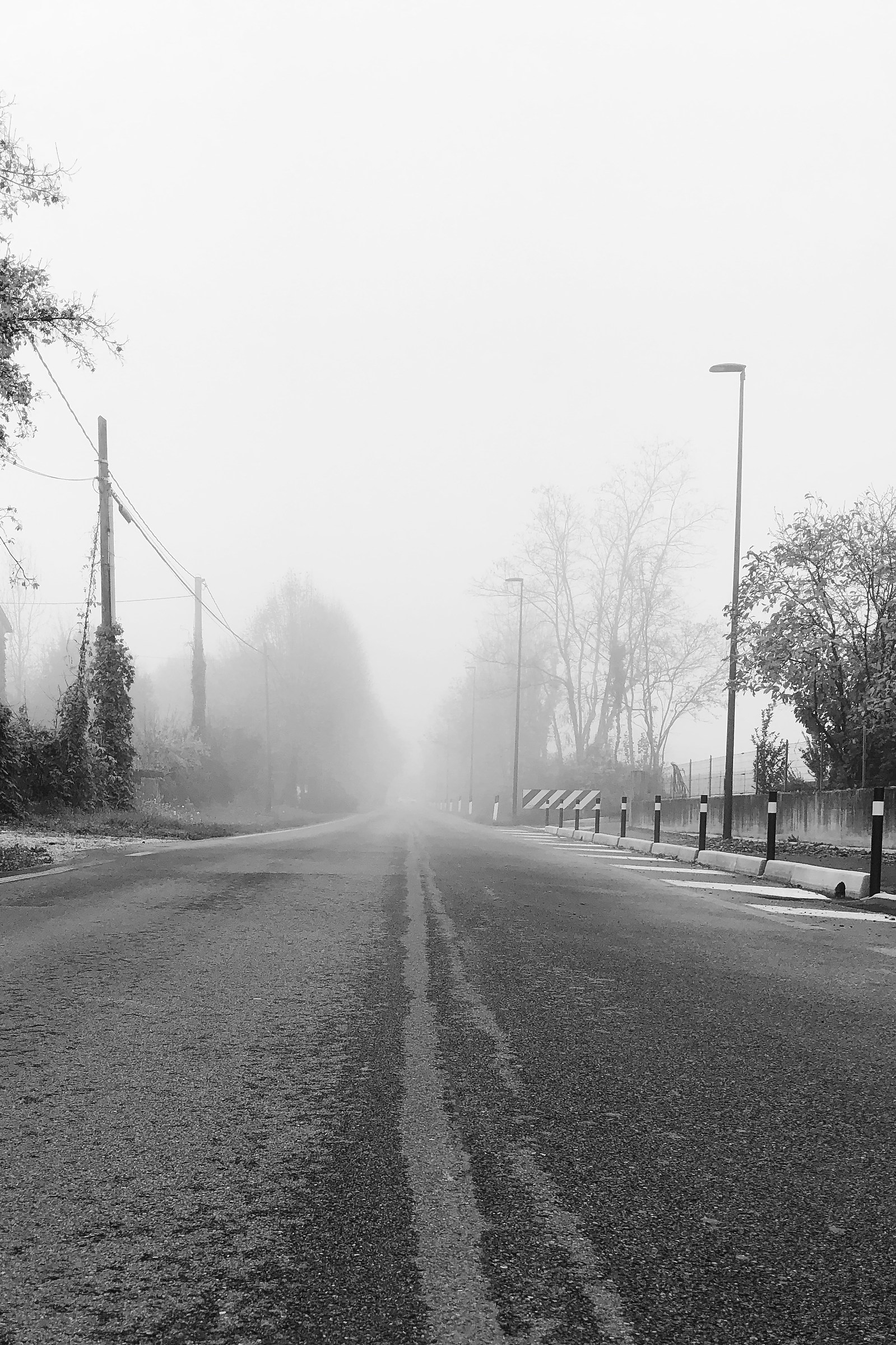 Country (TV)-A foggy Road