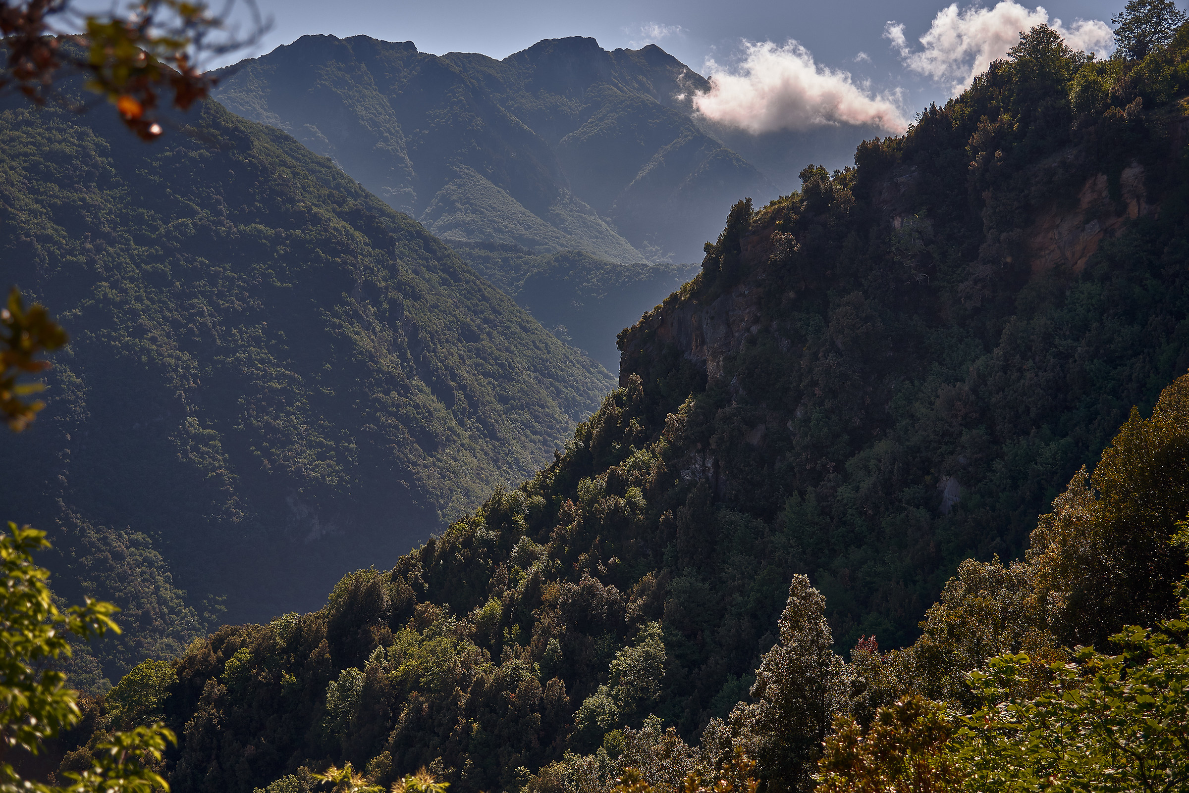 monti orsomarso parco nazionale del pollino calabria