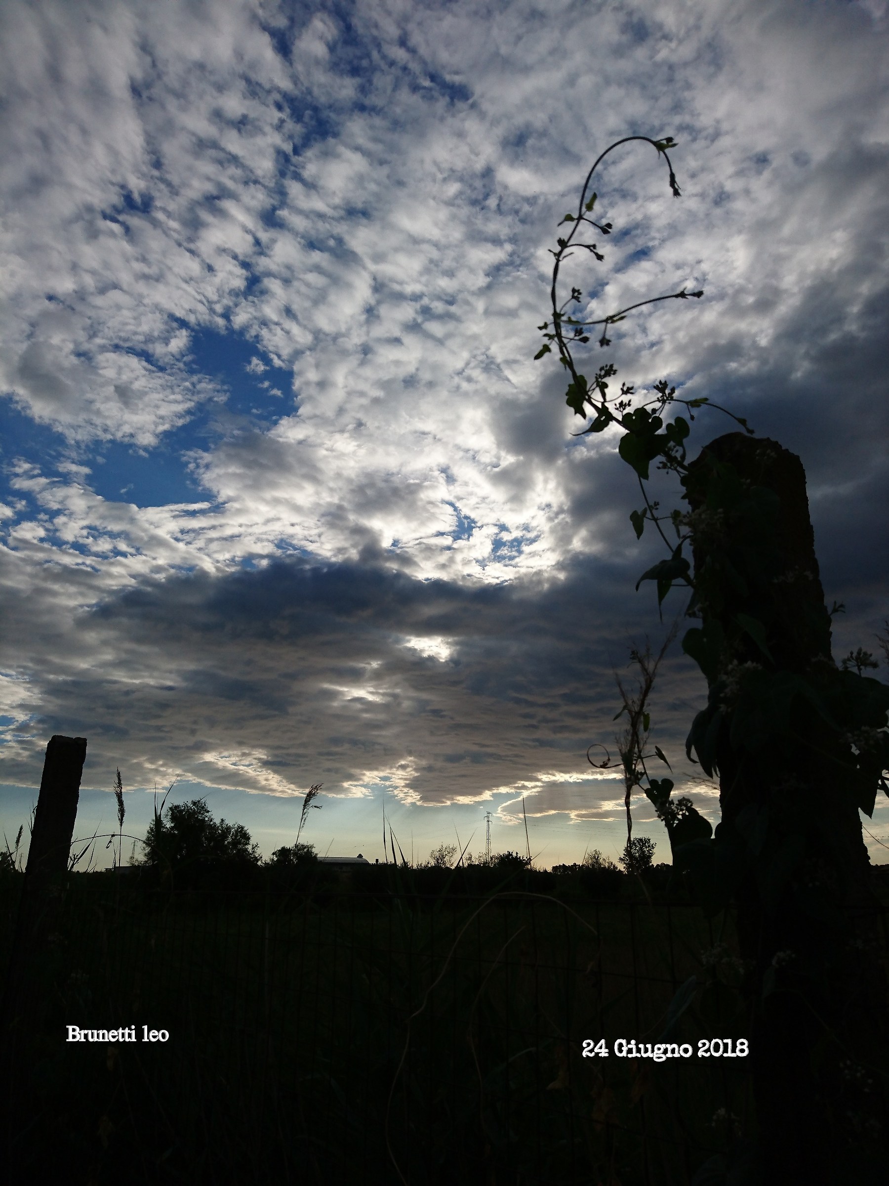 Landscape in the morning