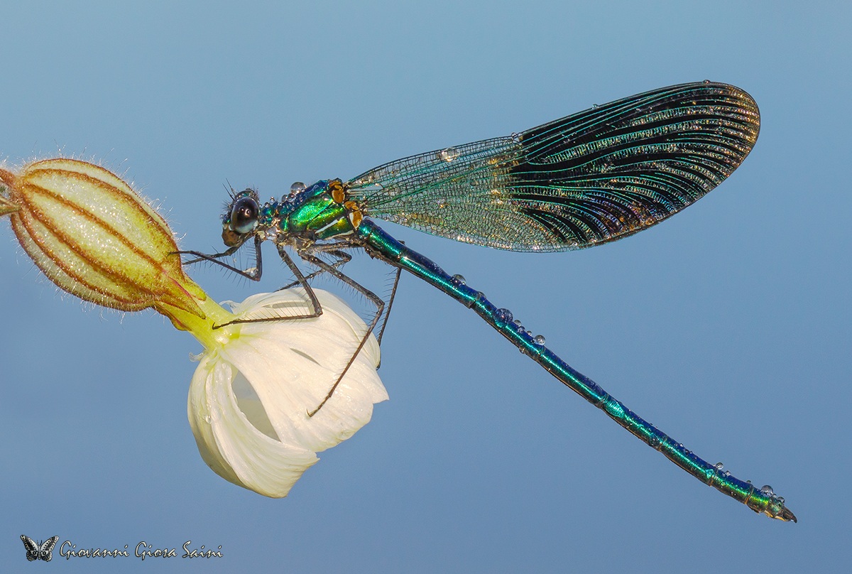 Reflections shining!