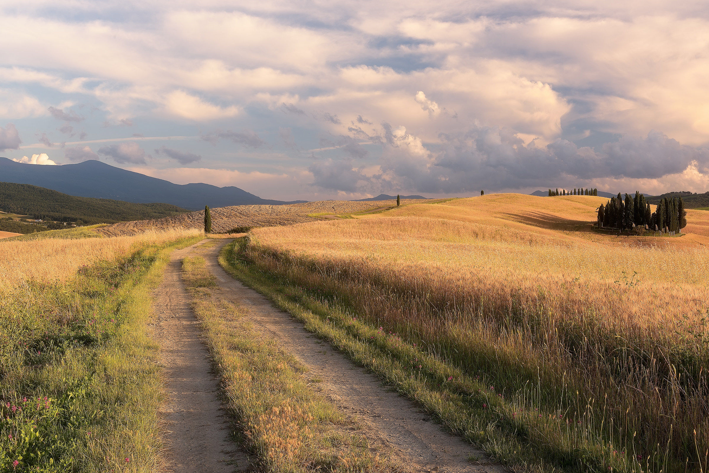 Summer in Val d'orcia