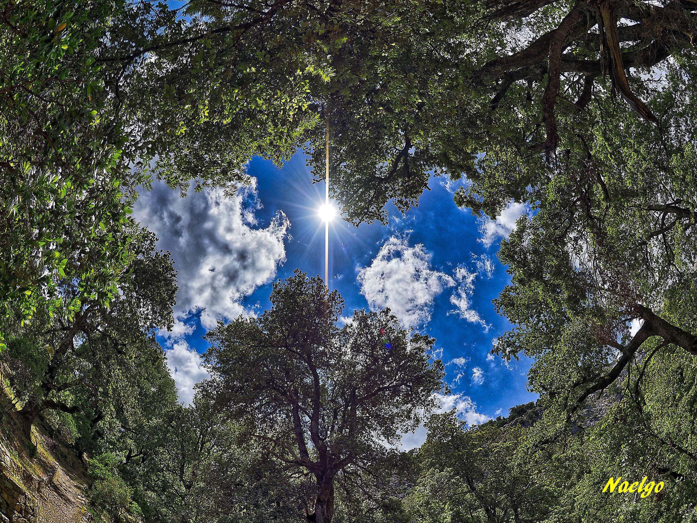 Desiderio di cielo 2018-06-12