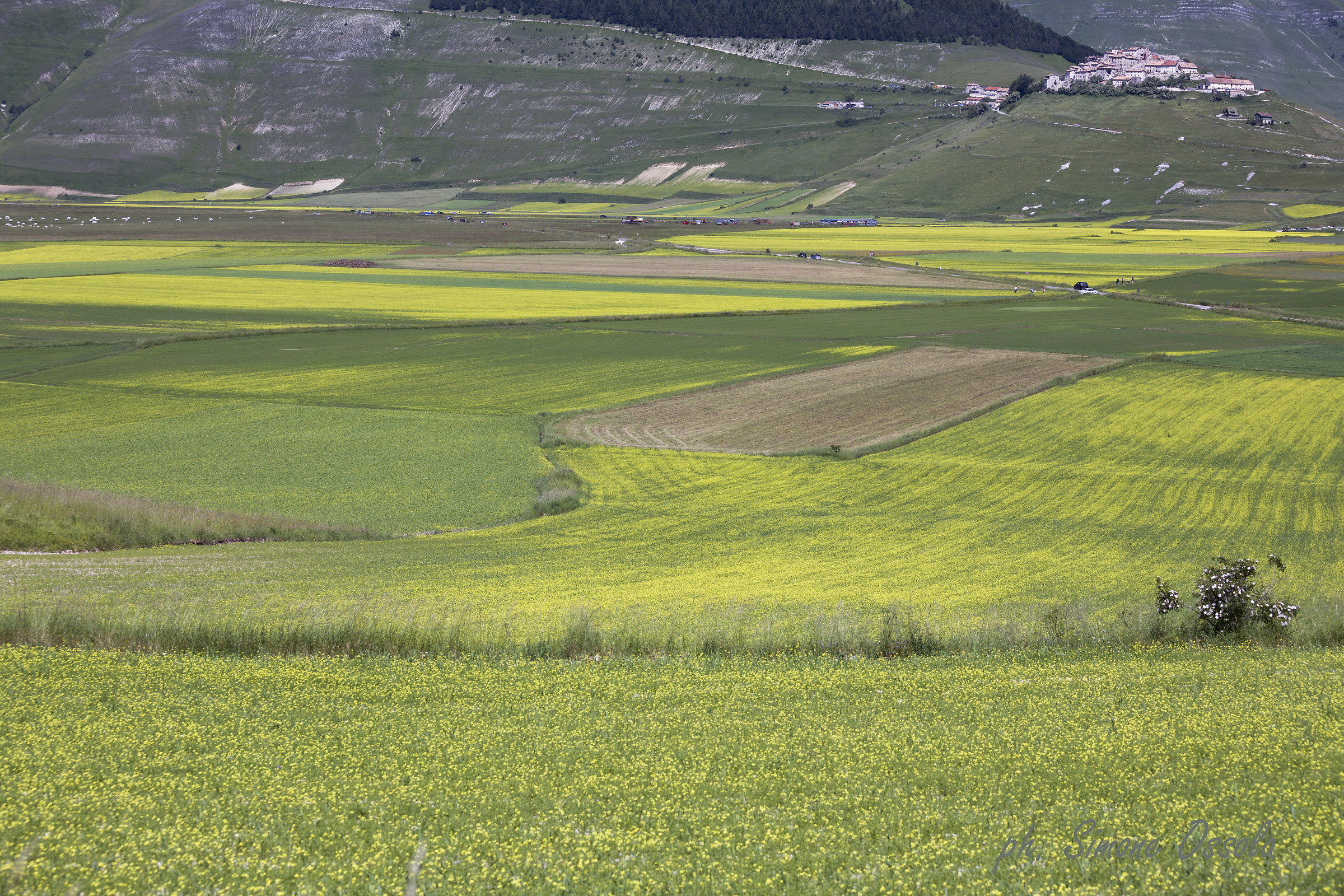 Castelluccio di Norcia