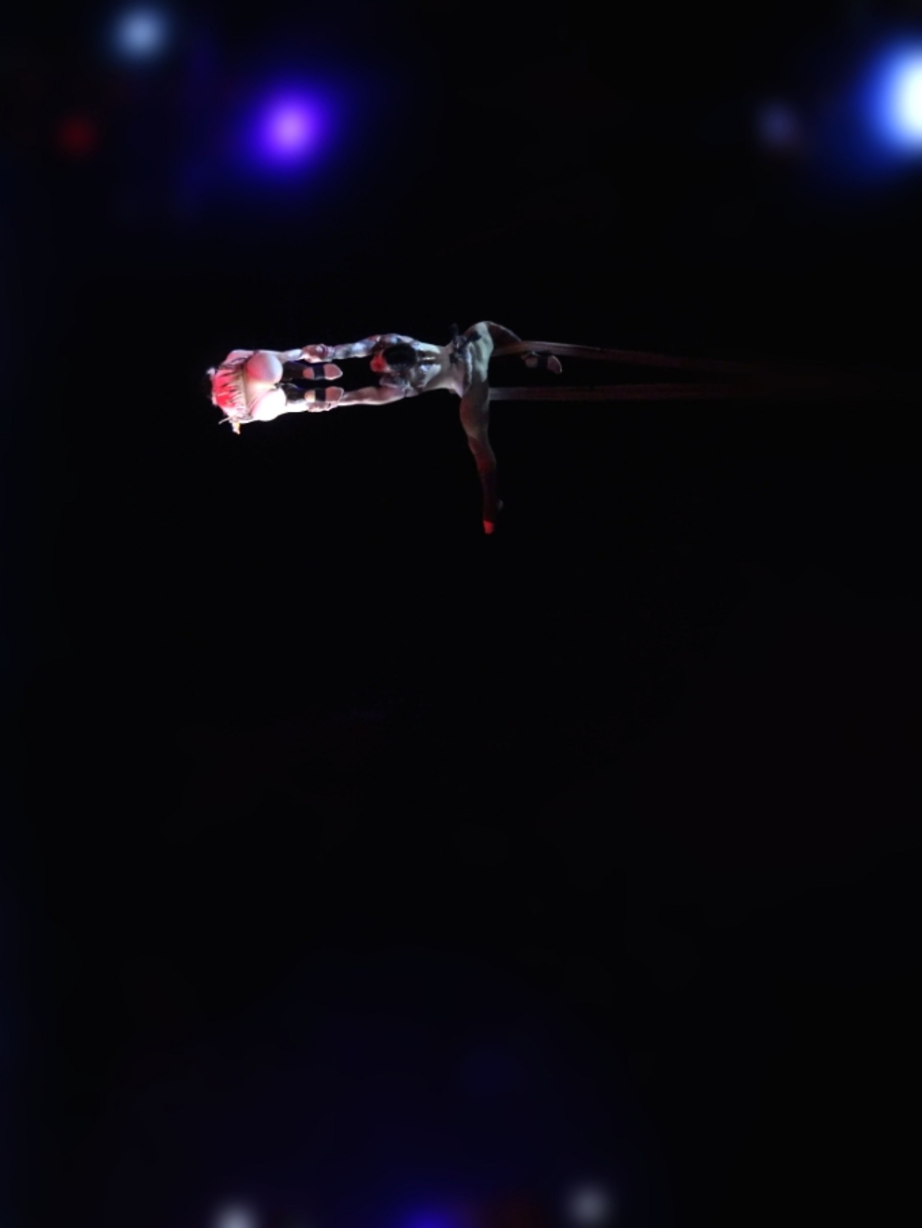 Medrano Circus Trapeze Artists