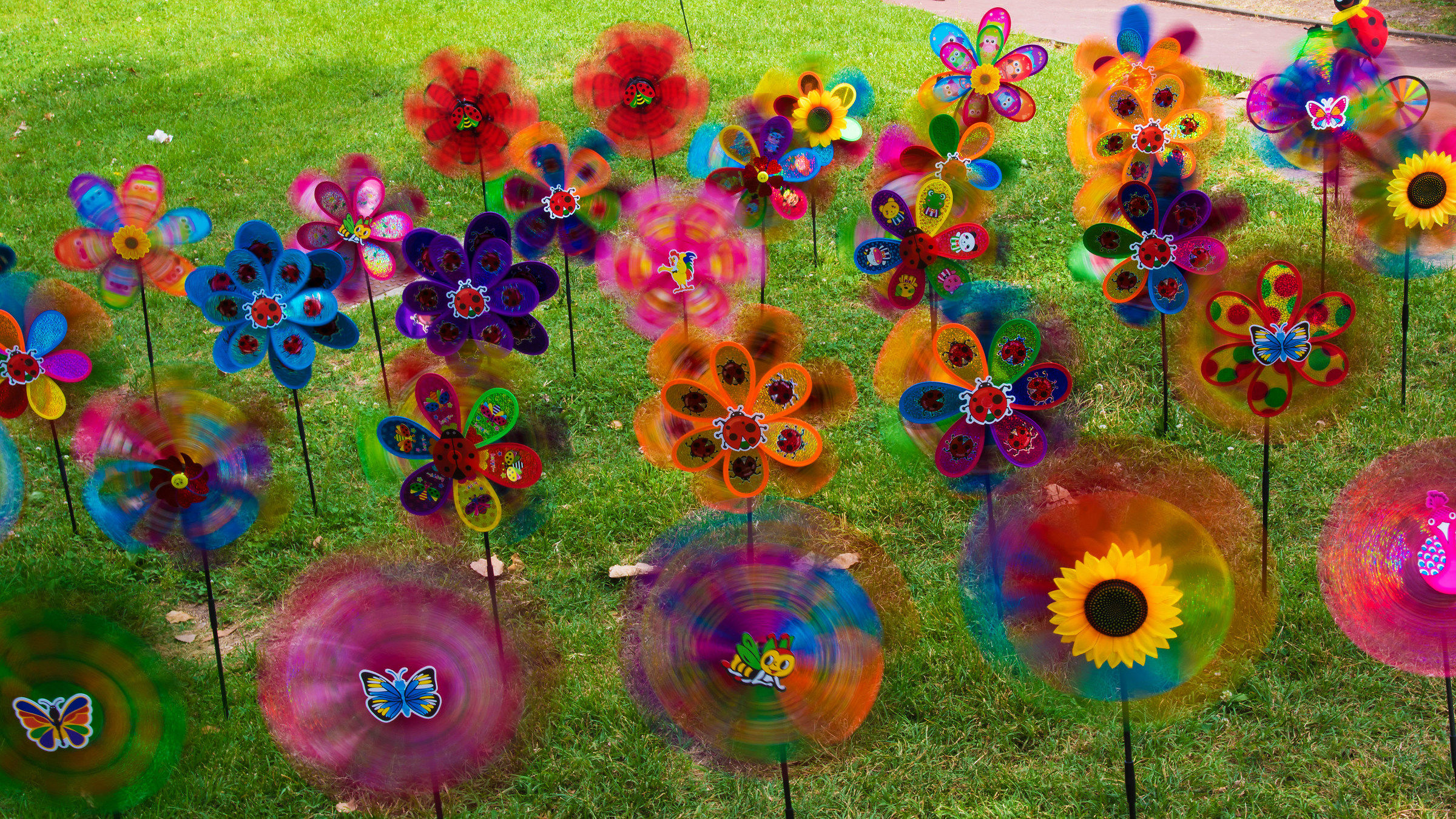 Who girà more and who less...