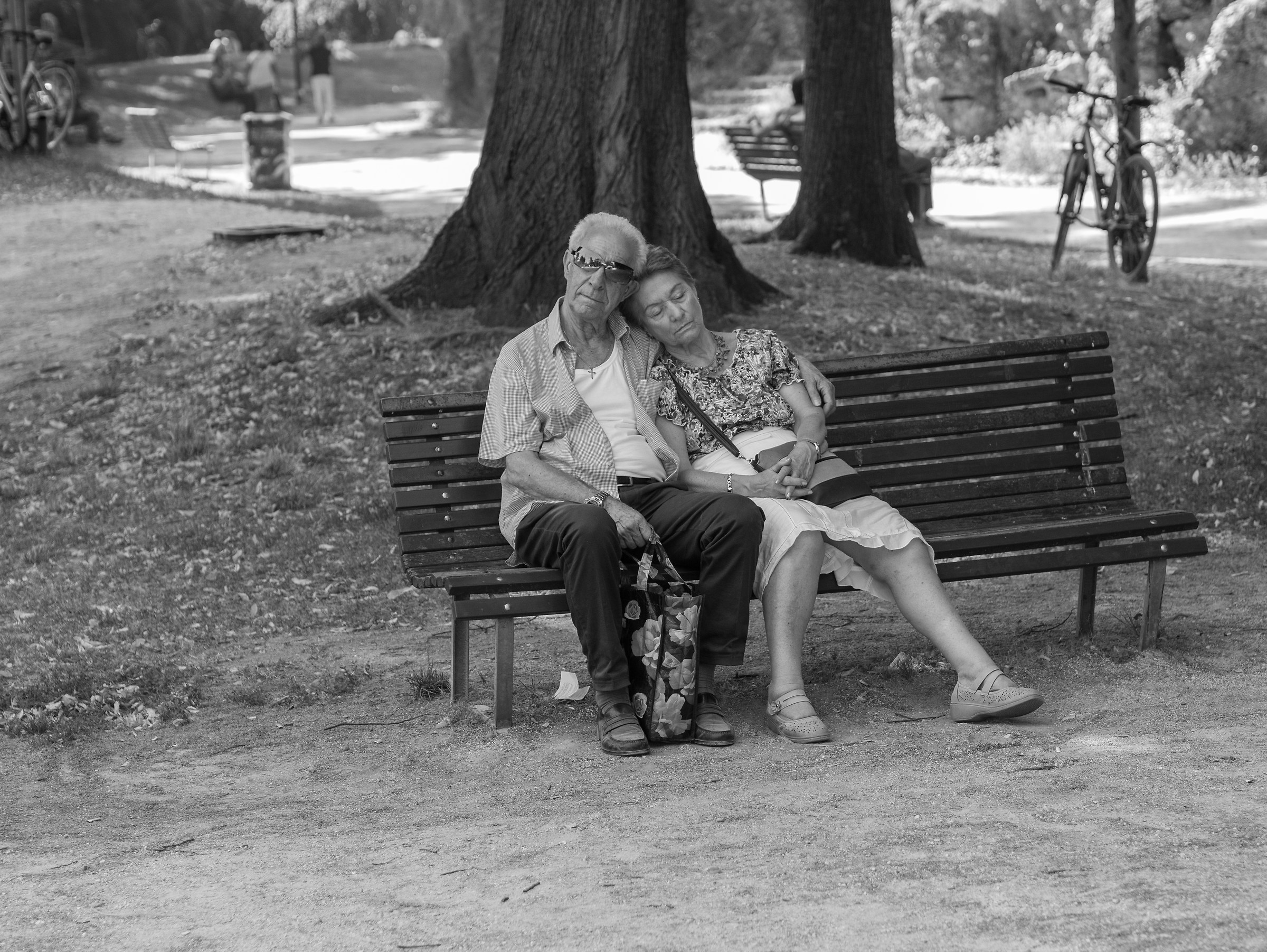 Beautiful sleeping in the woods